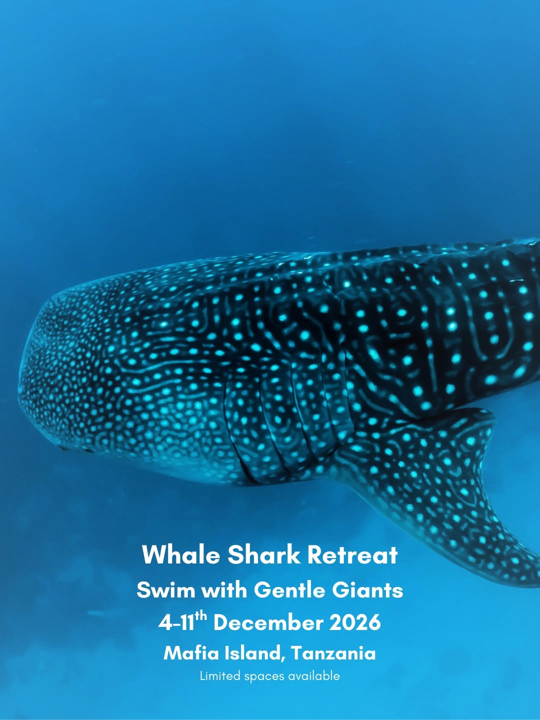 Yoga With Maja Facebook ad: Swim With Whale Sharks in Tanzania