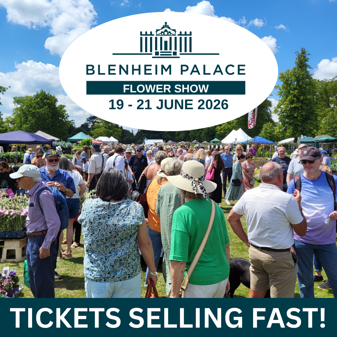 Blenheim Palace Flower Show Facebook ad