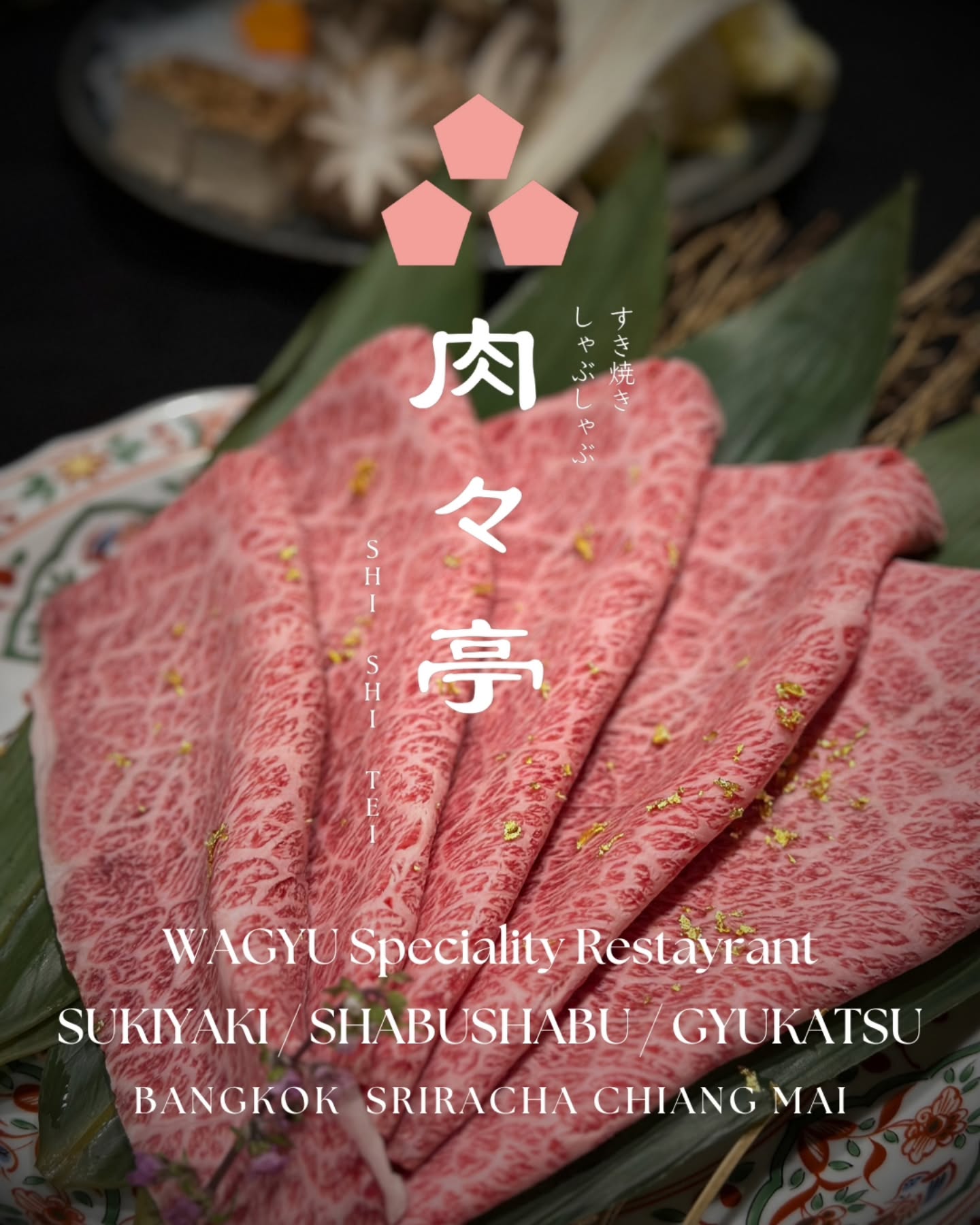 Shishitei Chiang Mai 肉々亭 チェンマイ Facebook ad: Authentic Sukiyaki & Shabu-Shabu Specialty Restaurant