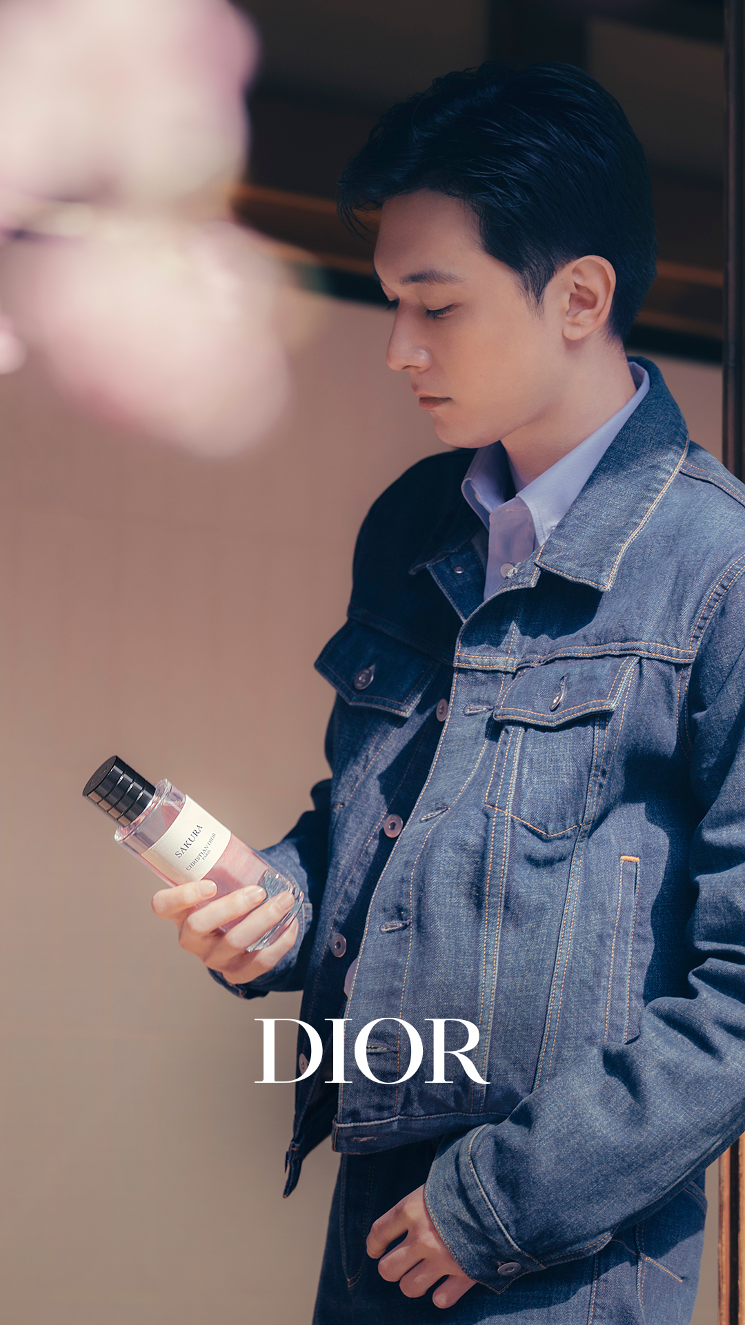 Dior Facebook ad