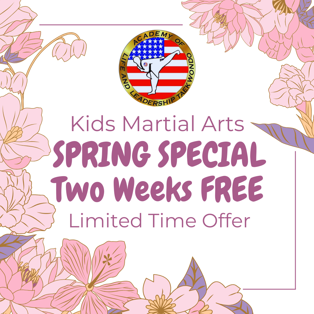 Academy of Life and Leadership Taekwondo Facebook ad