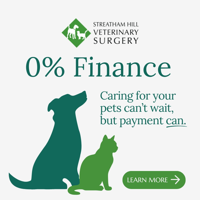 Streatham Hill Vets Facebook ad