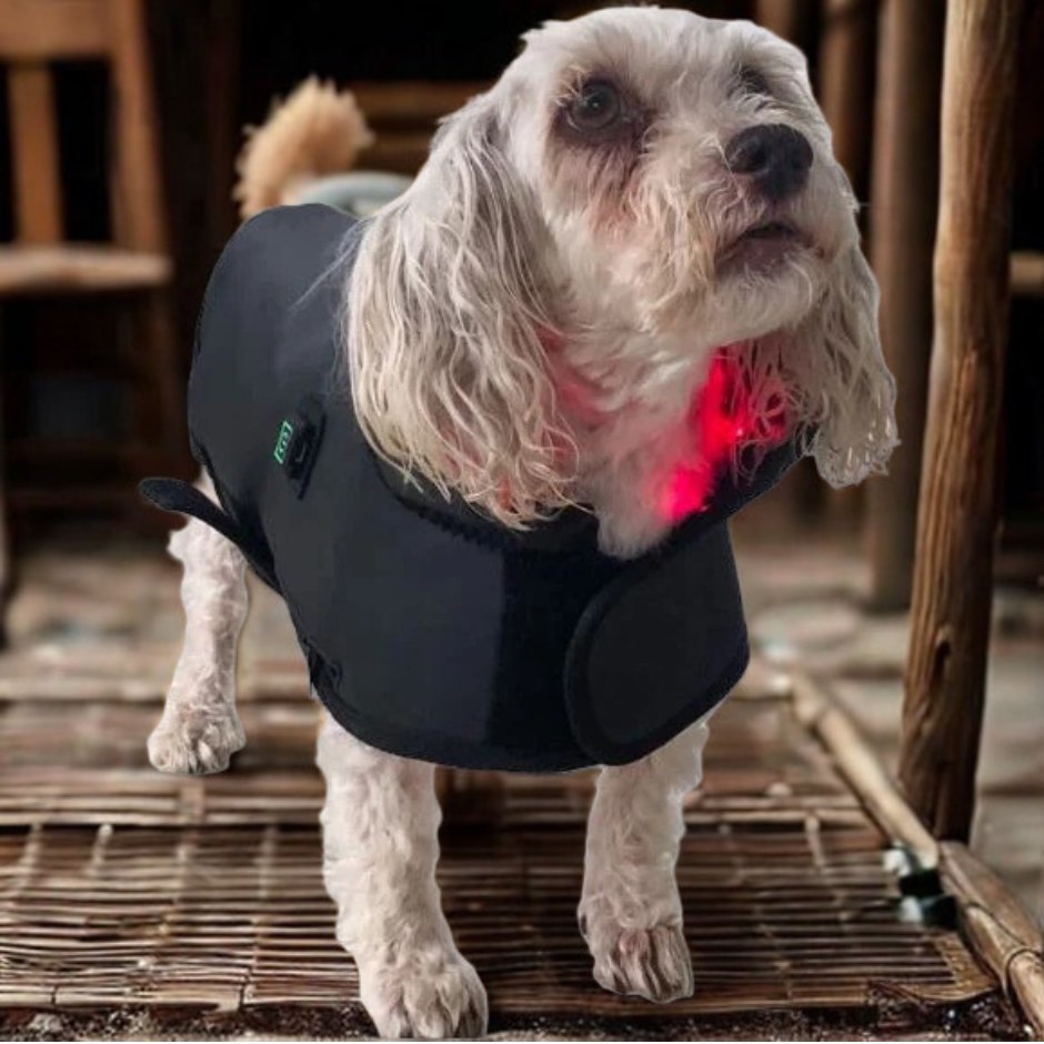 Red & Infrared Light Therapy Facebook ad: Red and Infrared Light Therapy for Horses and Pets