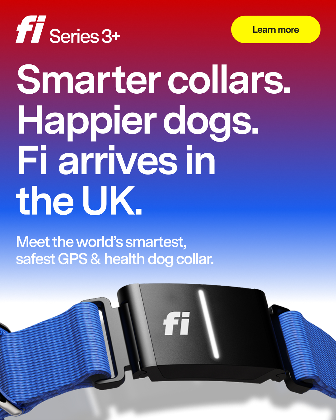 Fi Facebook ad