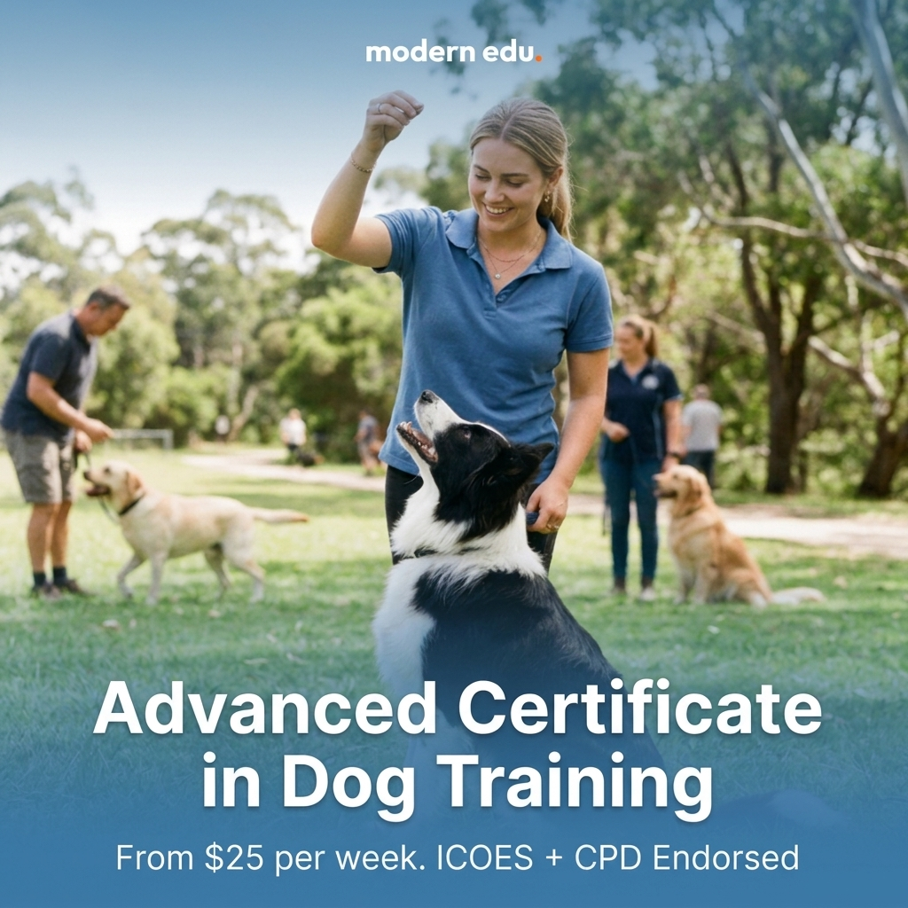 Modern Edu Australia Facebook ad