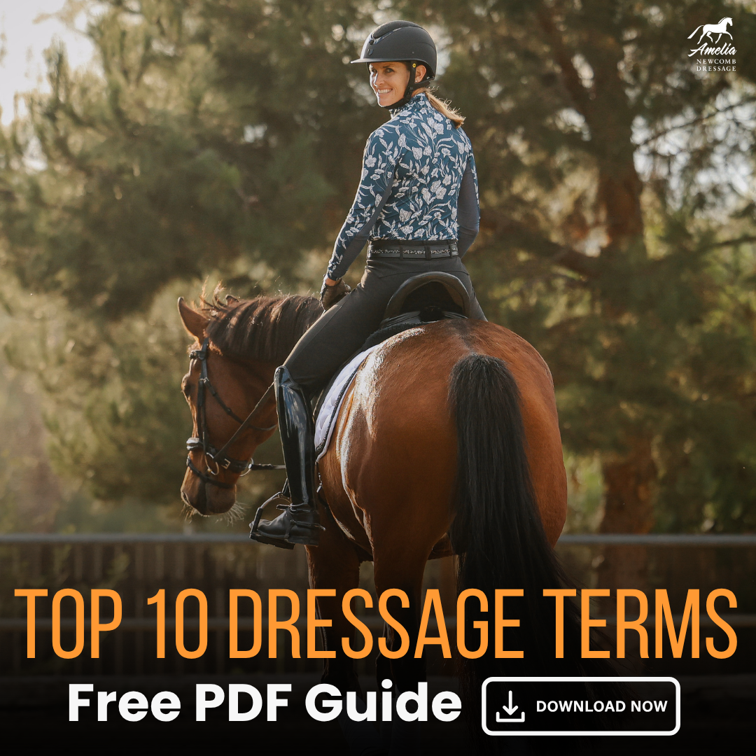 Amelia Newcomb Dressage Facebook ad: FREE | 10 Dressage Terms