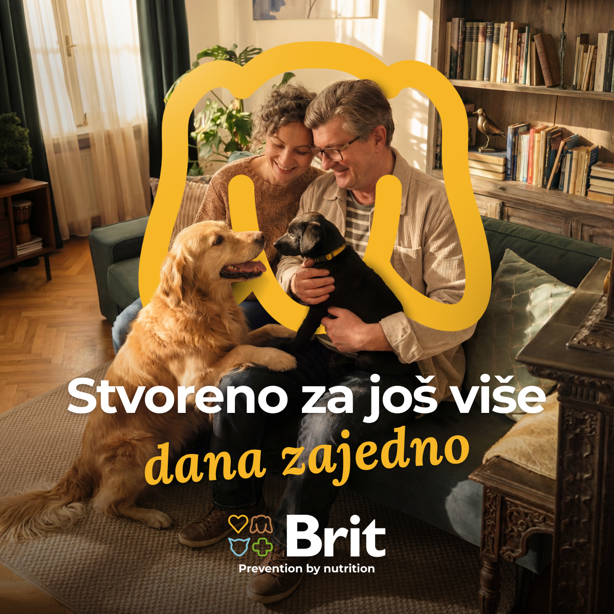 Brit Facebook ad
