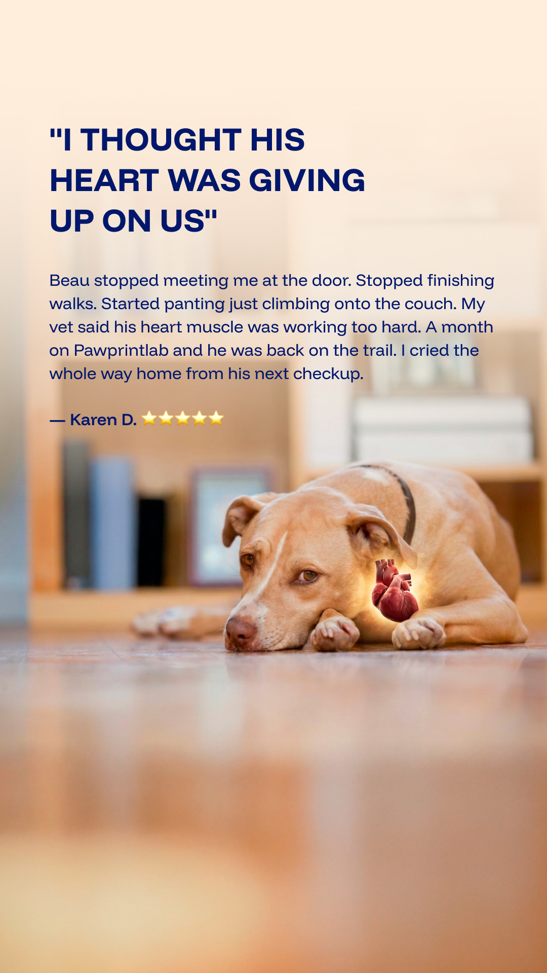 Vet-Approved Pet Products Facebook ad