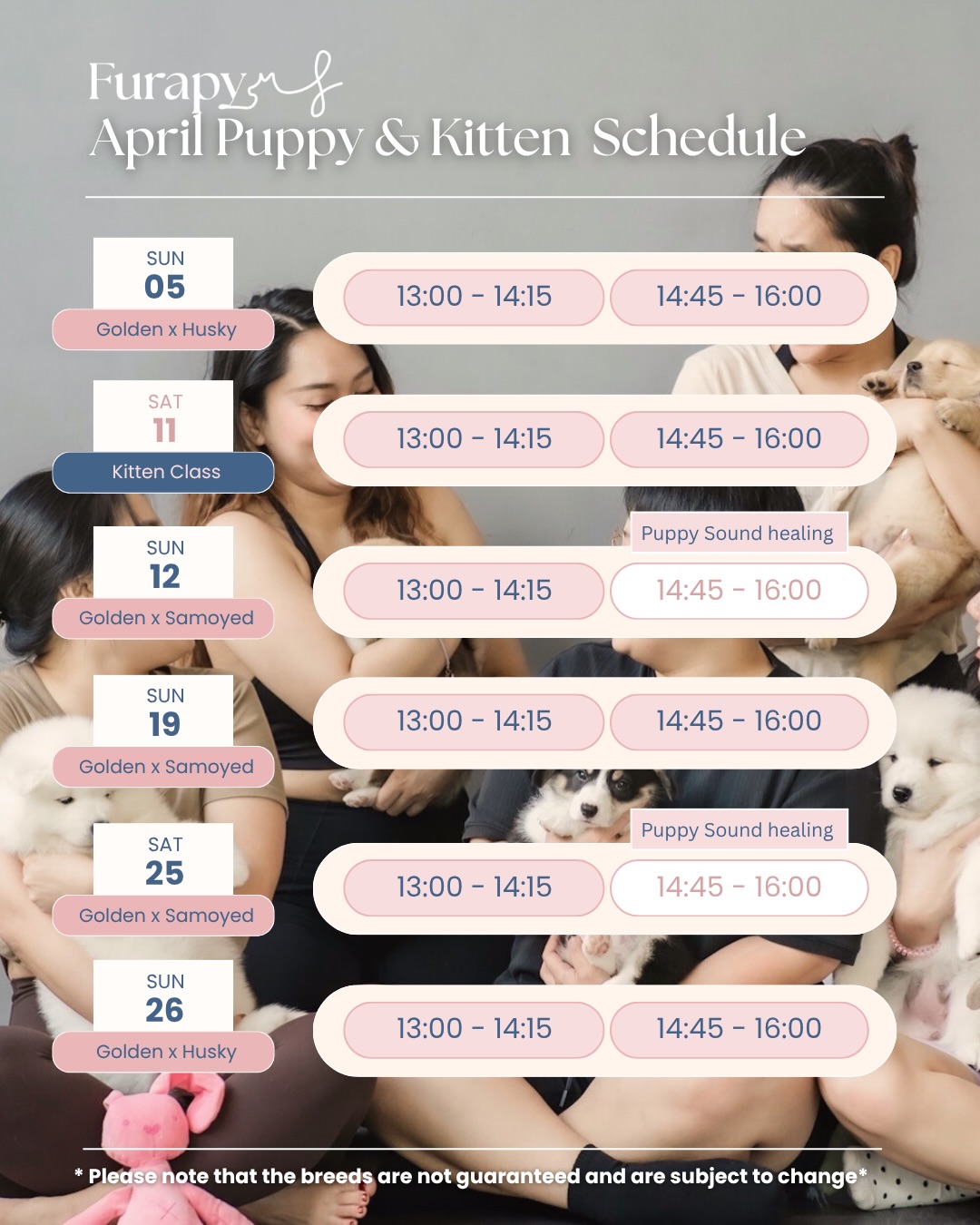 Furapy Bangkok Facebook ad: Dear puppy and kitten lovers in Bangkok!