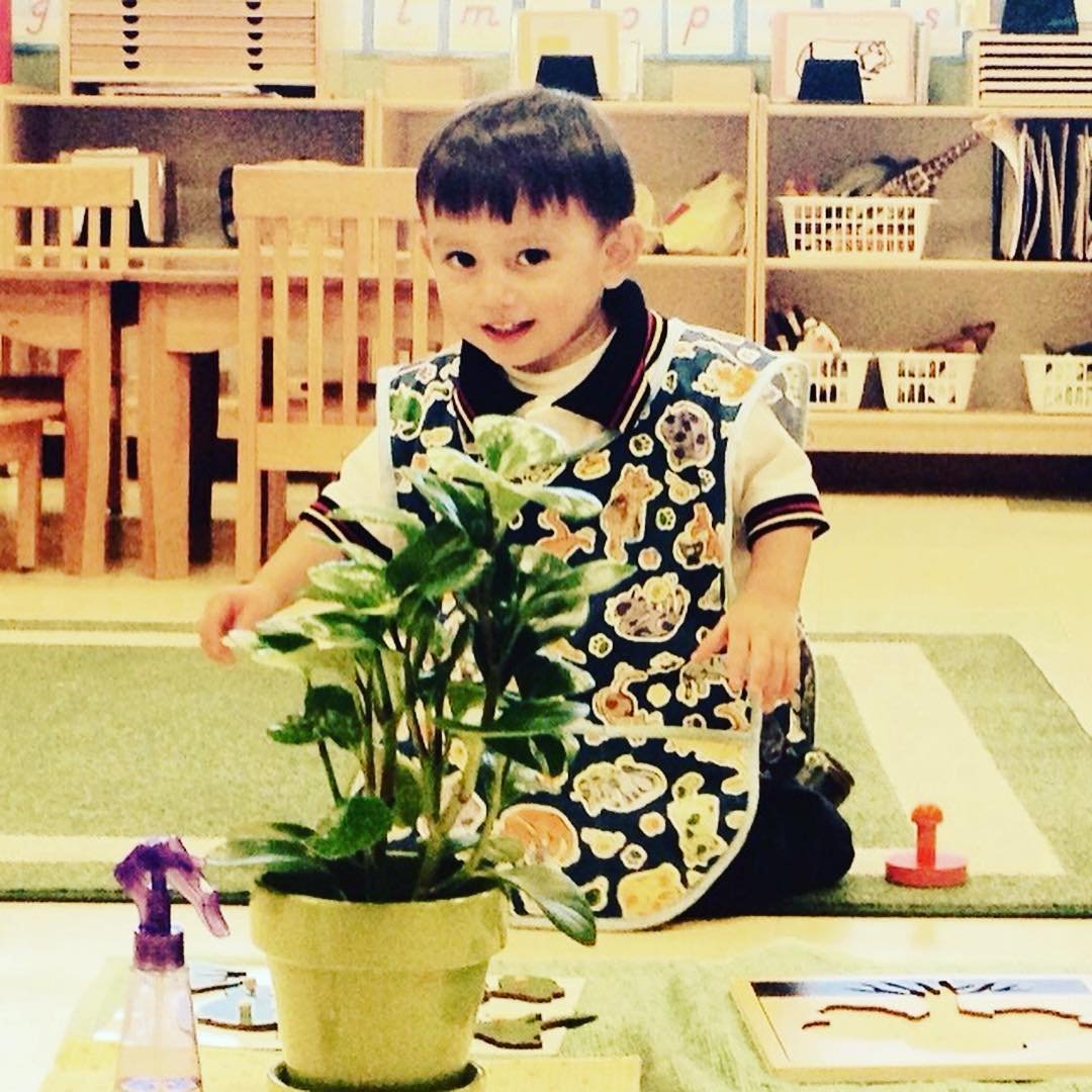 KING ARTHUR MONTESSORI ACADEMY Facebook ad: Where the Love for Learning Lasts a Lifetime