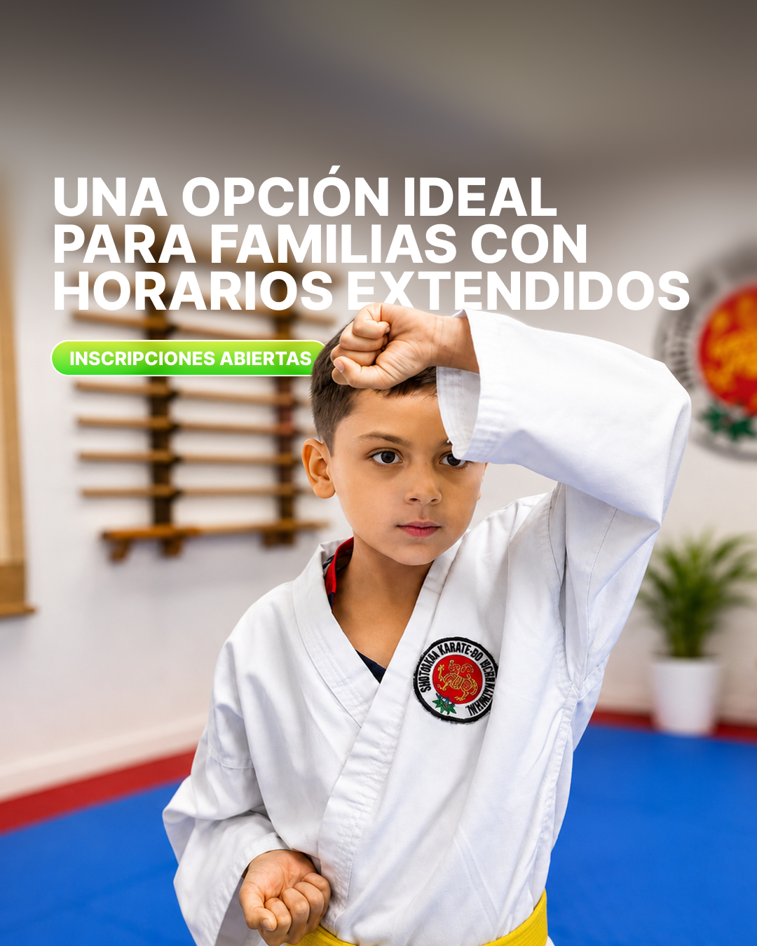 American School Chihuahua Facebook ad: Contáctanos