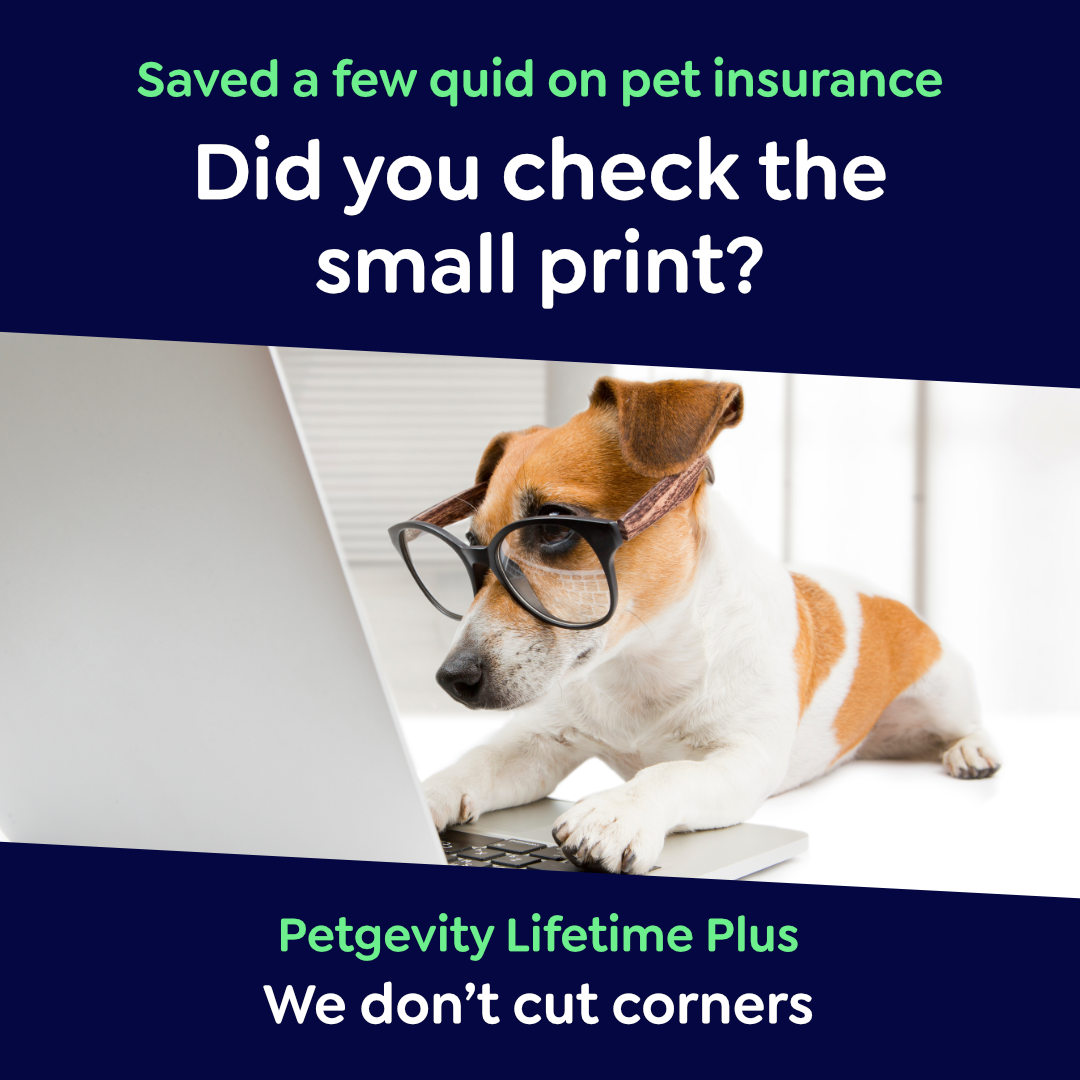 Petgevity UK Facebook ad: Lifetime Protection, for Less