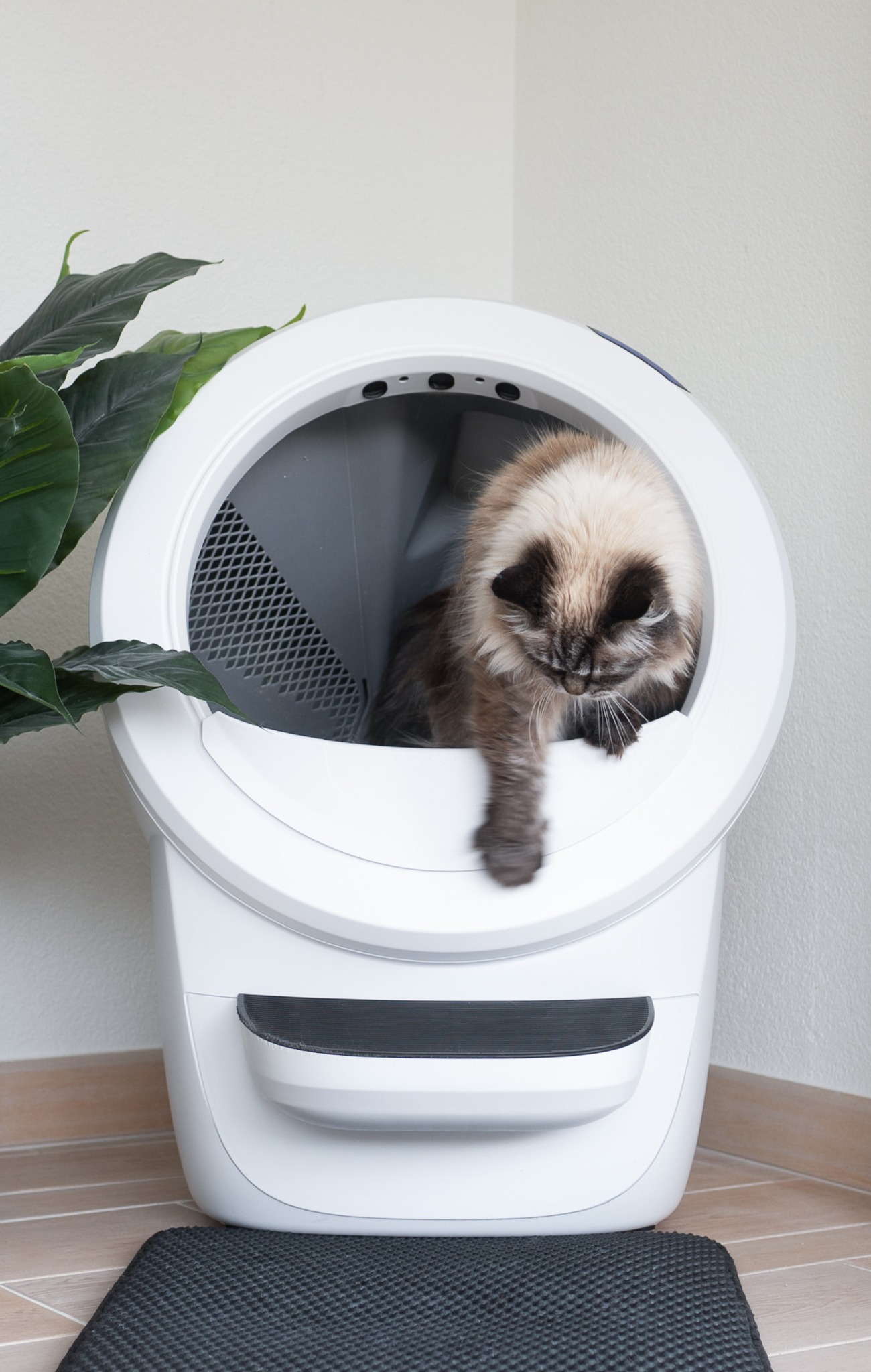 Litter-Robot by Whisker Facebook ad