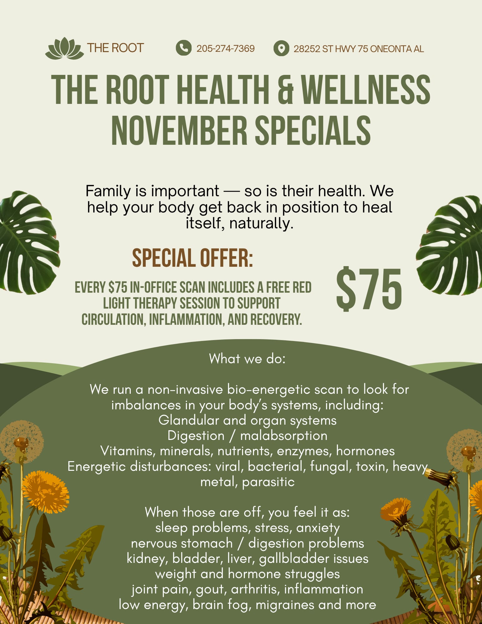 The Root Health and Wellness Facebook ad: The Root Health &Wellness