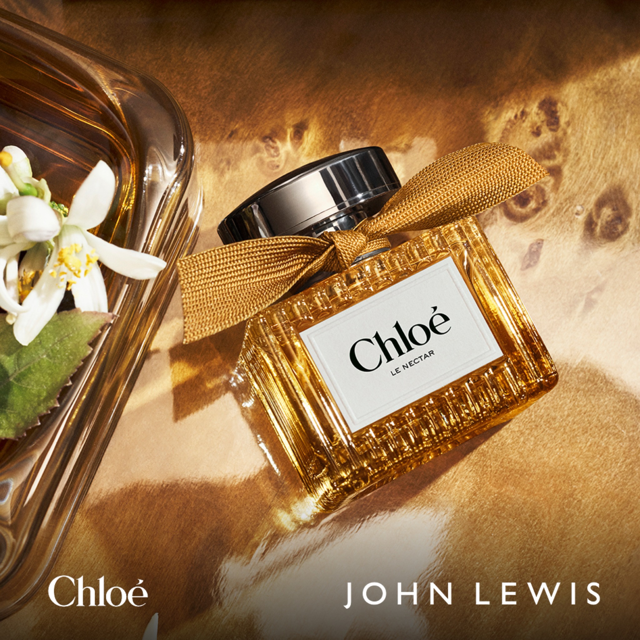 John Lewis & Partners Facebook ad: Chloé Le Nectar