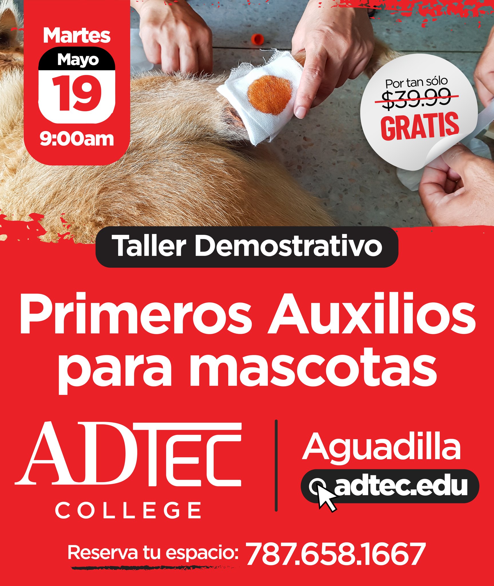 Adtec College Facebook ad