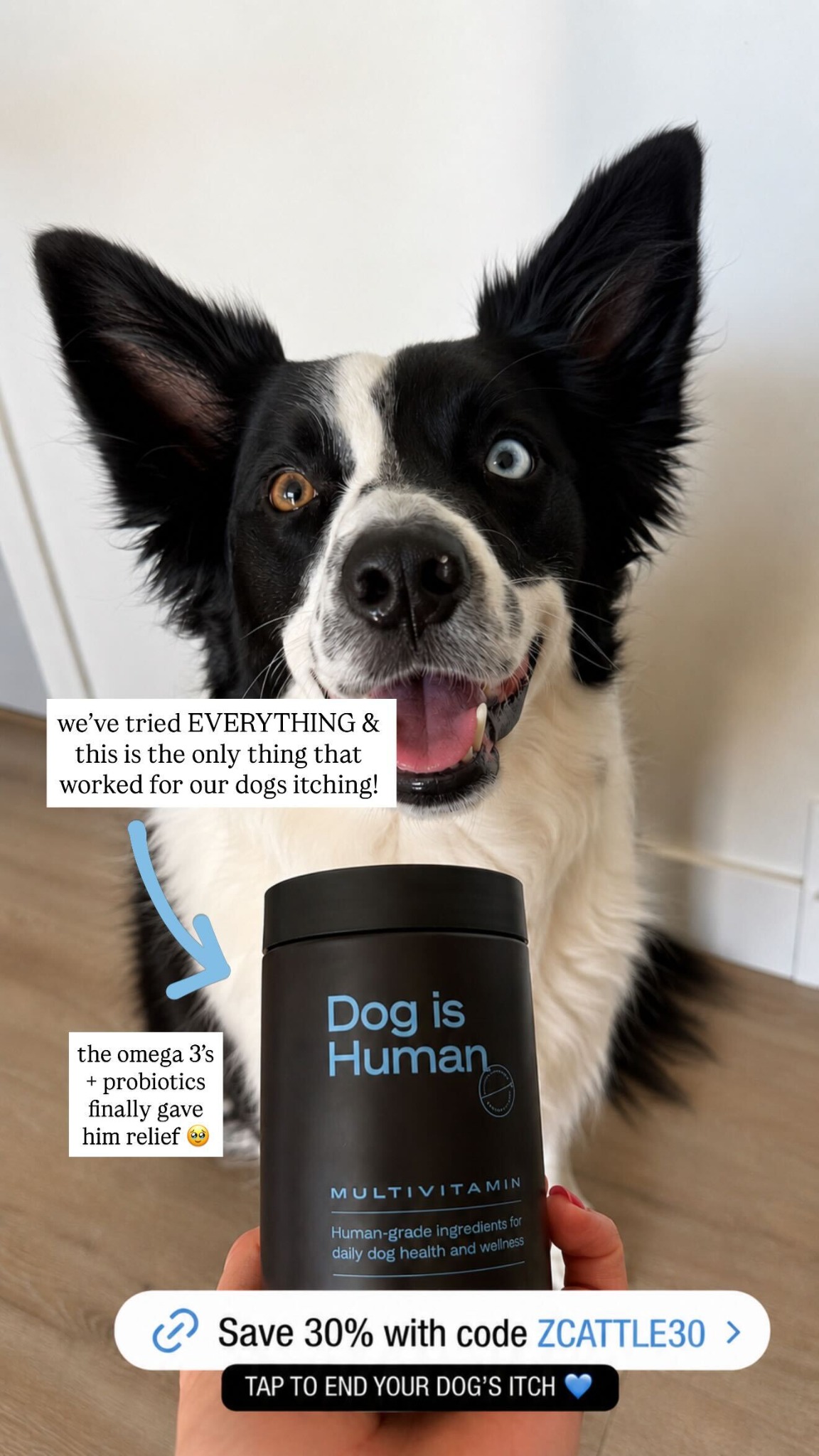 Dog is Human Facebook ad