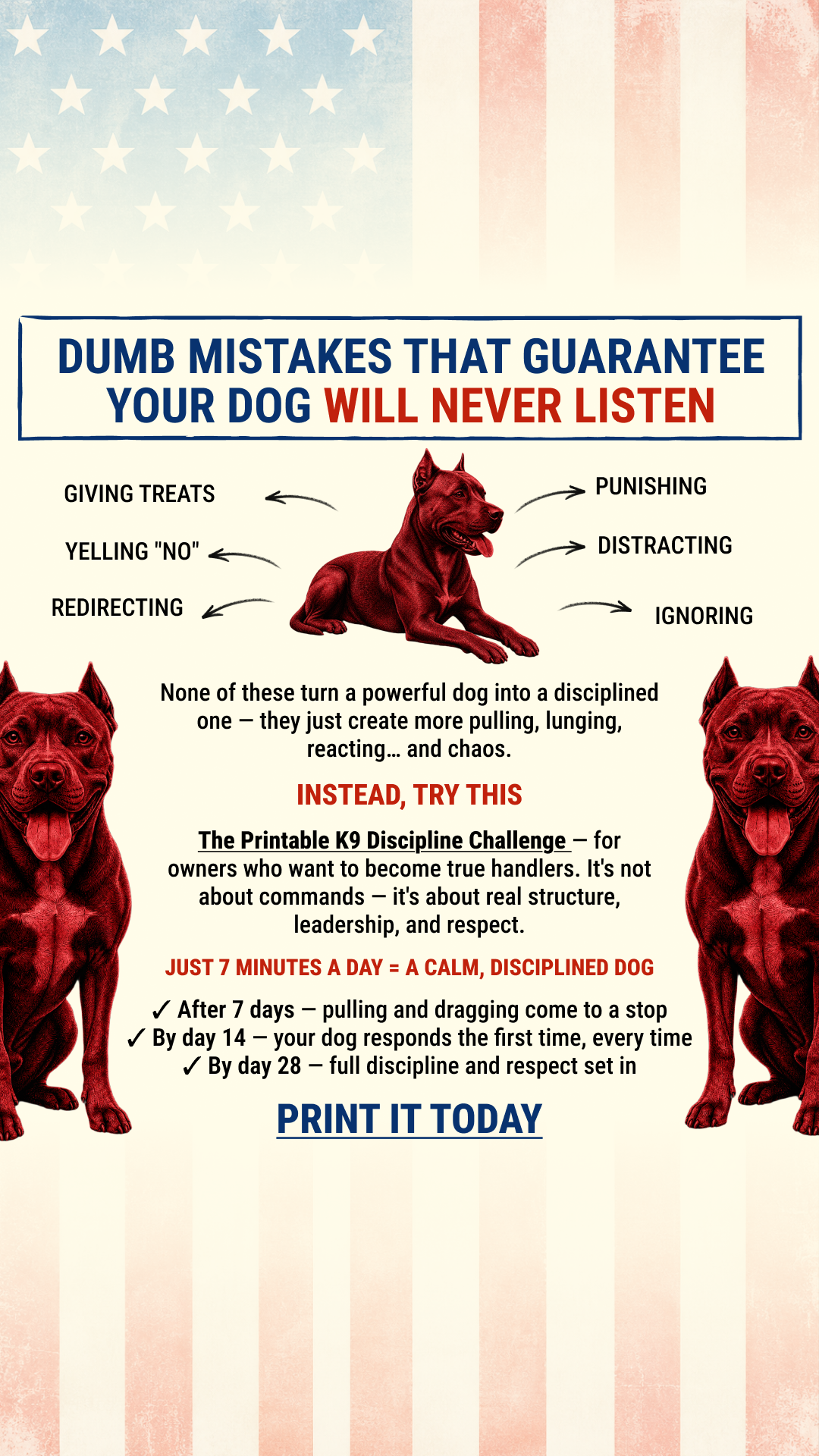 Dog Training Program Facebook ad: Take the lead. Start now