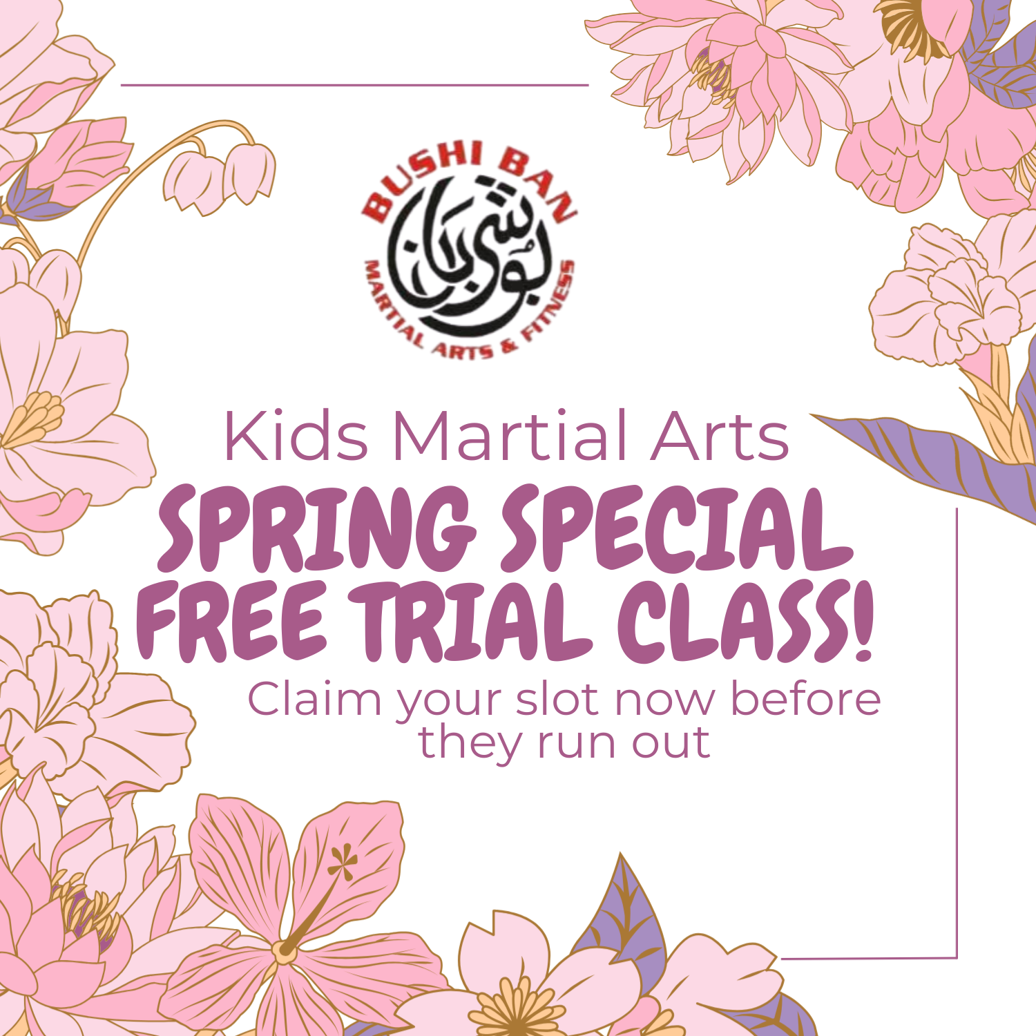 Bushi Ban Seabrook Facebook ad: Free Kids Martial Arts Trial Class