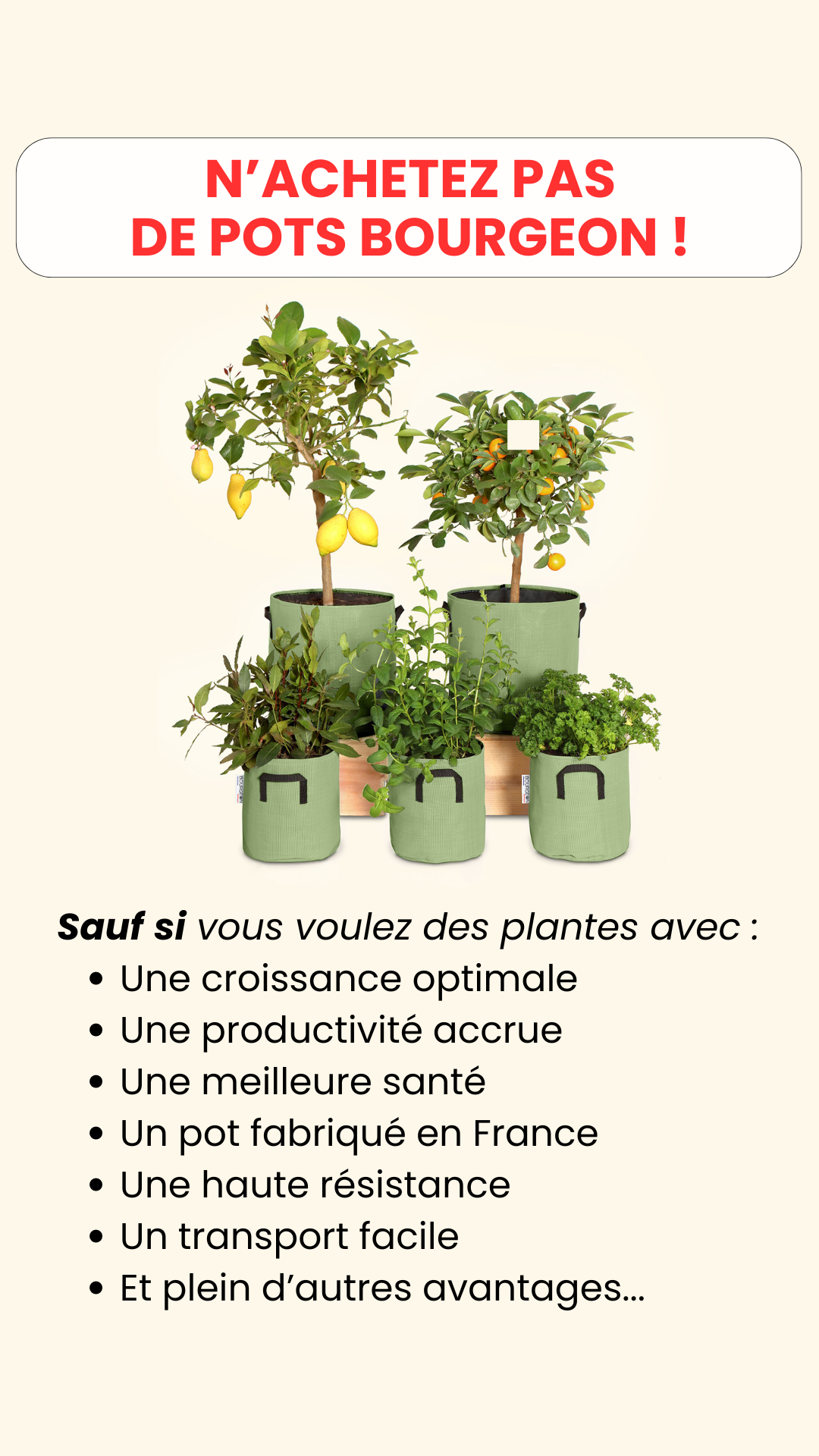 Jardinerie Bourgeon Facebook ad: Produit jardinage de l’année