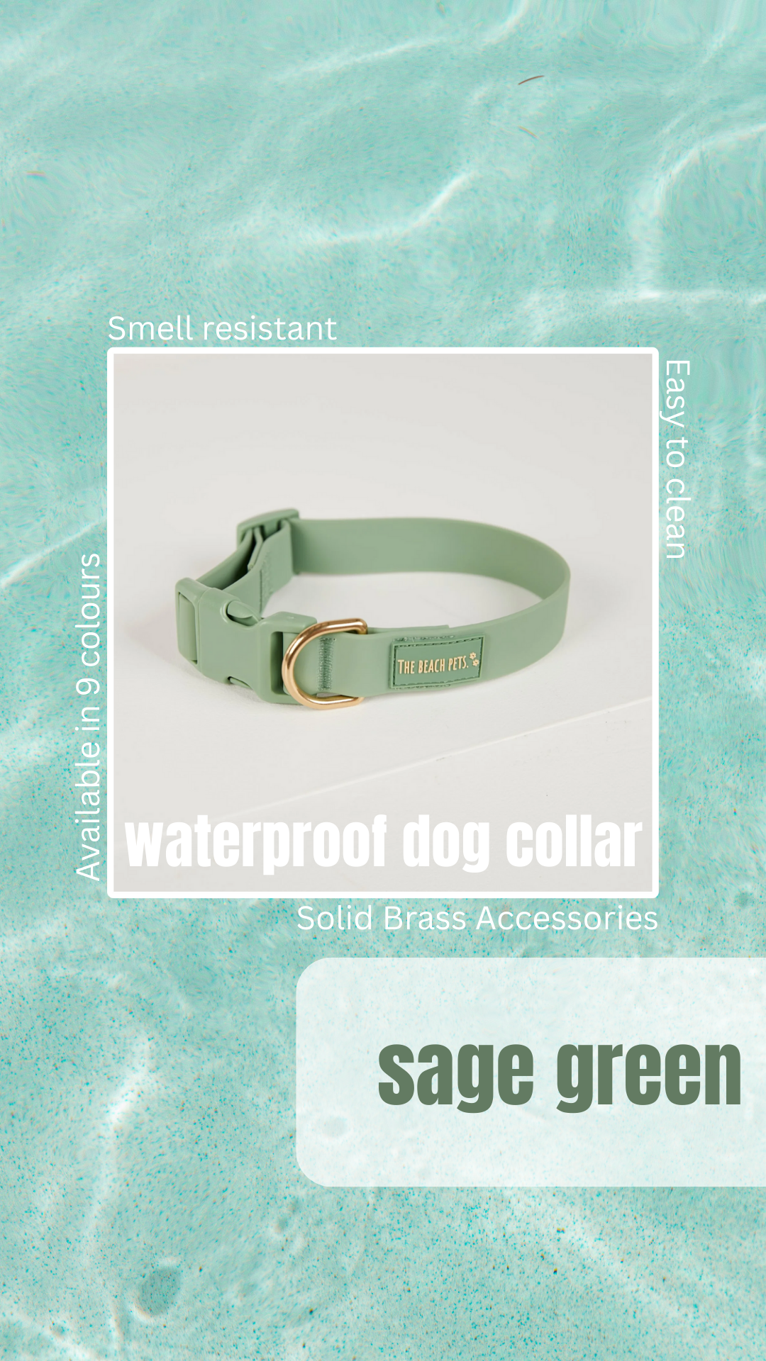 The Beach Pets Facebook ad