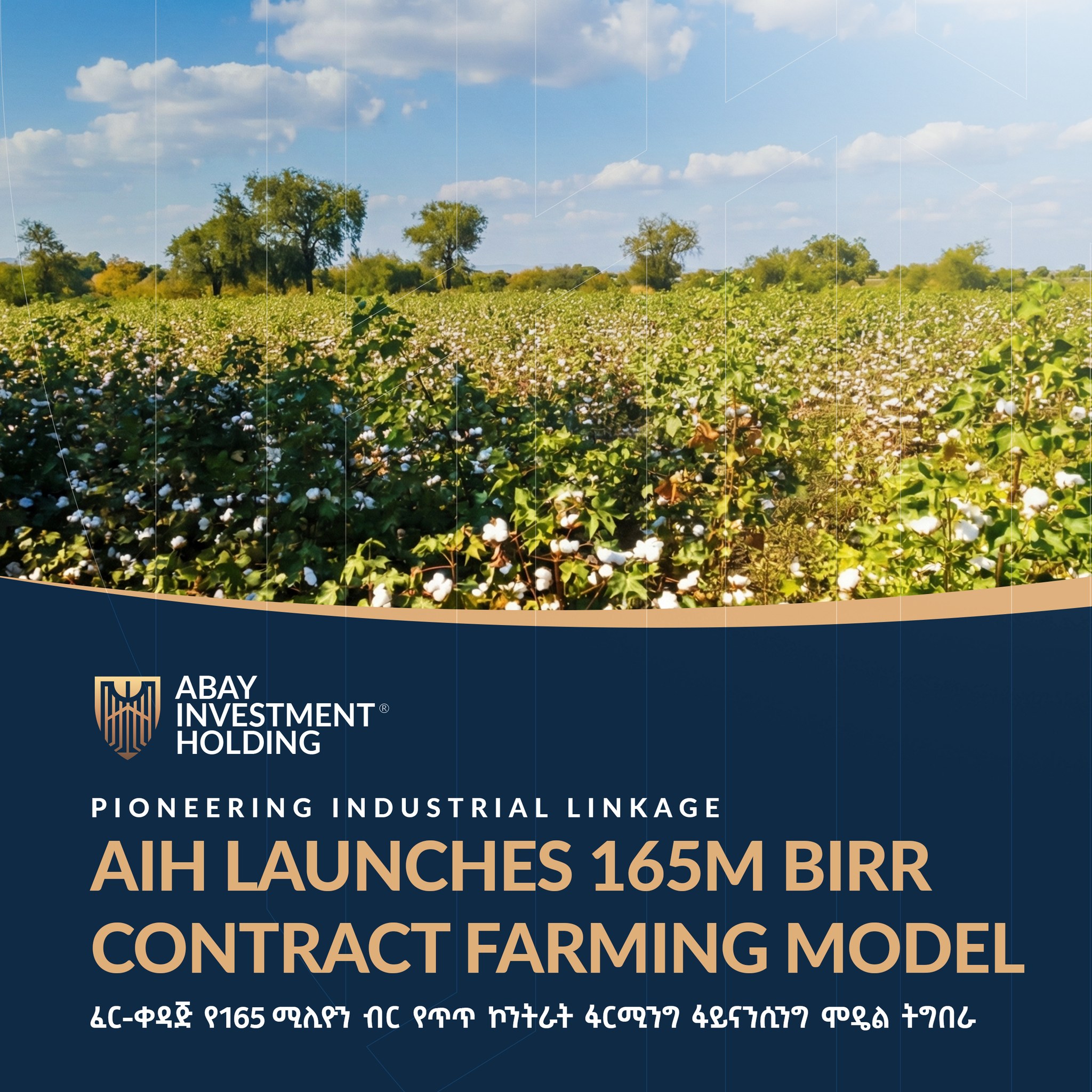 Abay Investment Holding Facebook ad