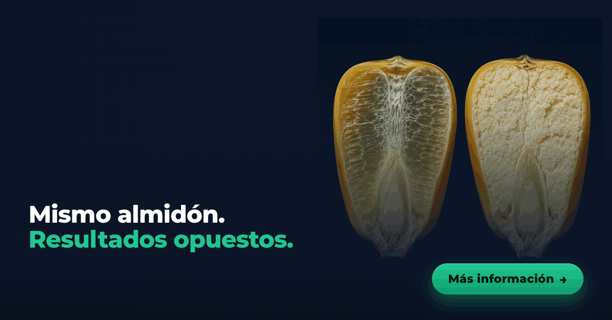 Santafé Agroinstituto Español - Bovinos Lecheros Facebook ad from Jun 17, 2026