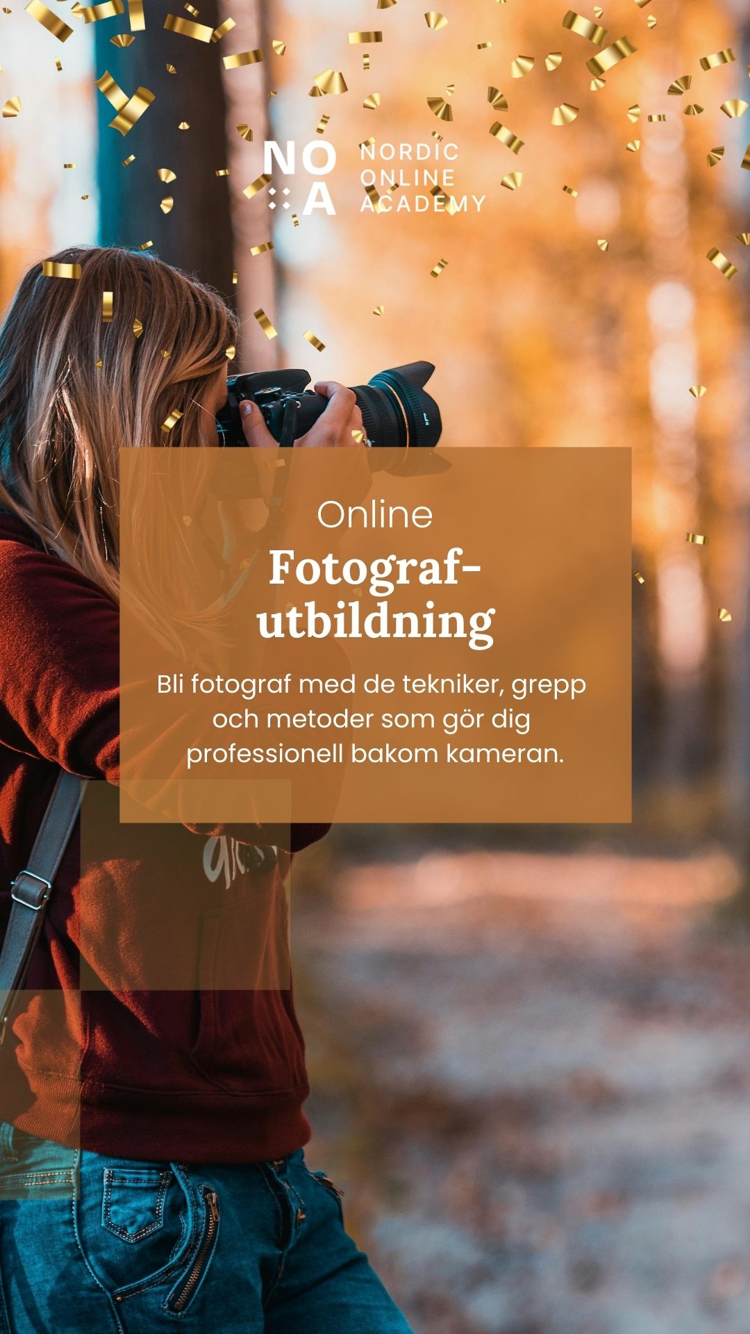 Nordic Online Academy Facebook ad