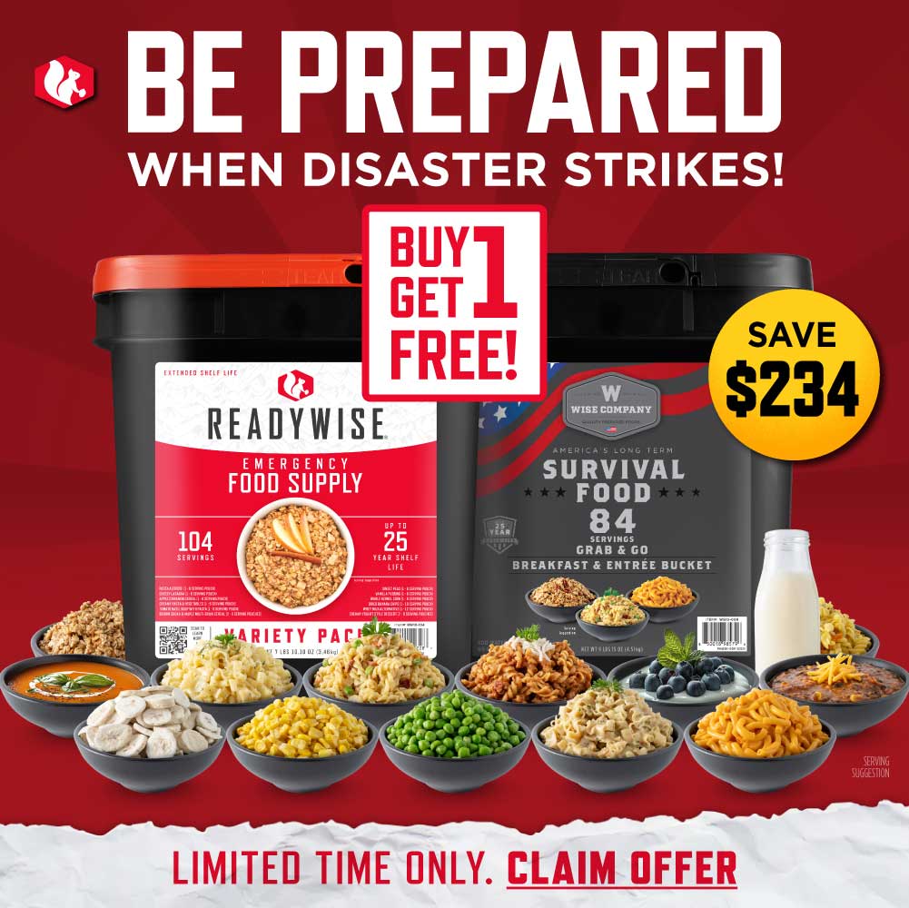 ReadyWise Facebook ad