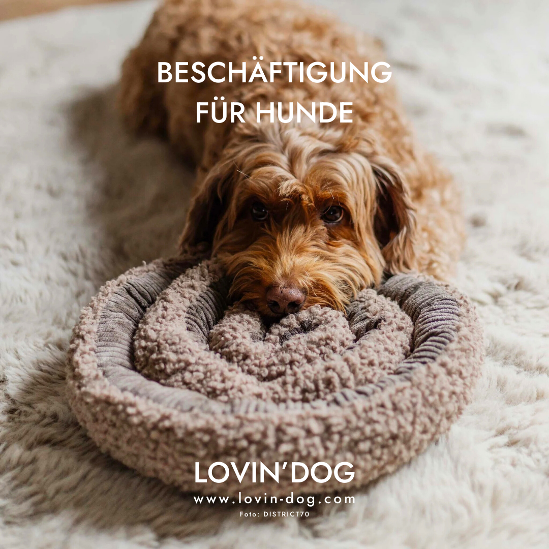Lovin'dog Facebook ad