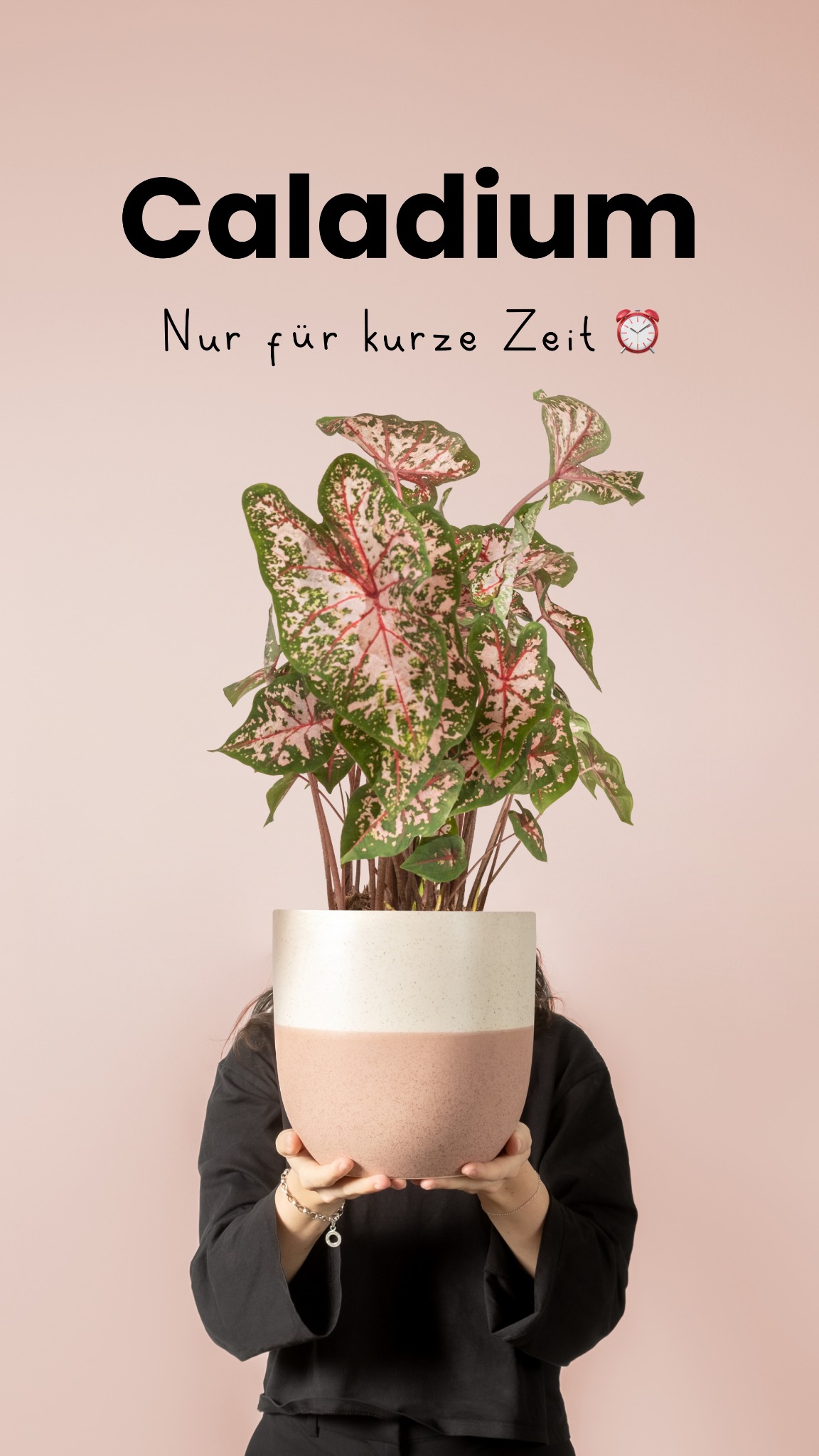 feey.pflanzen Facebook ad