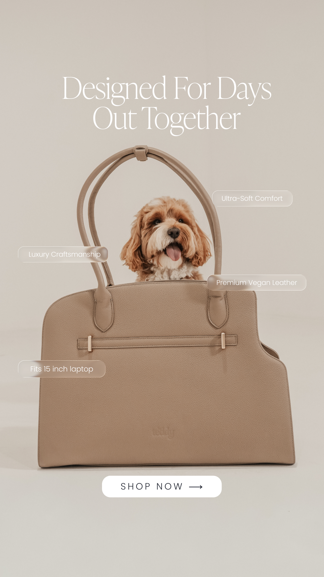 By Teddy Facebook ad