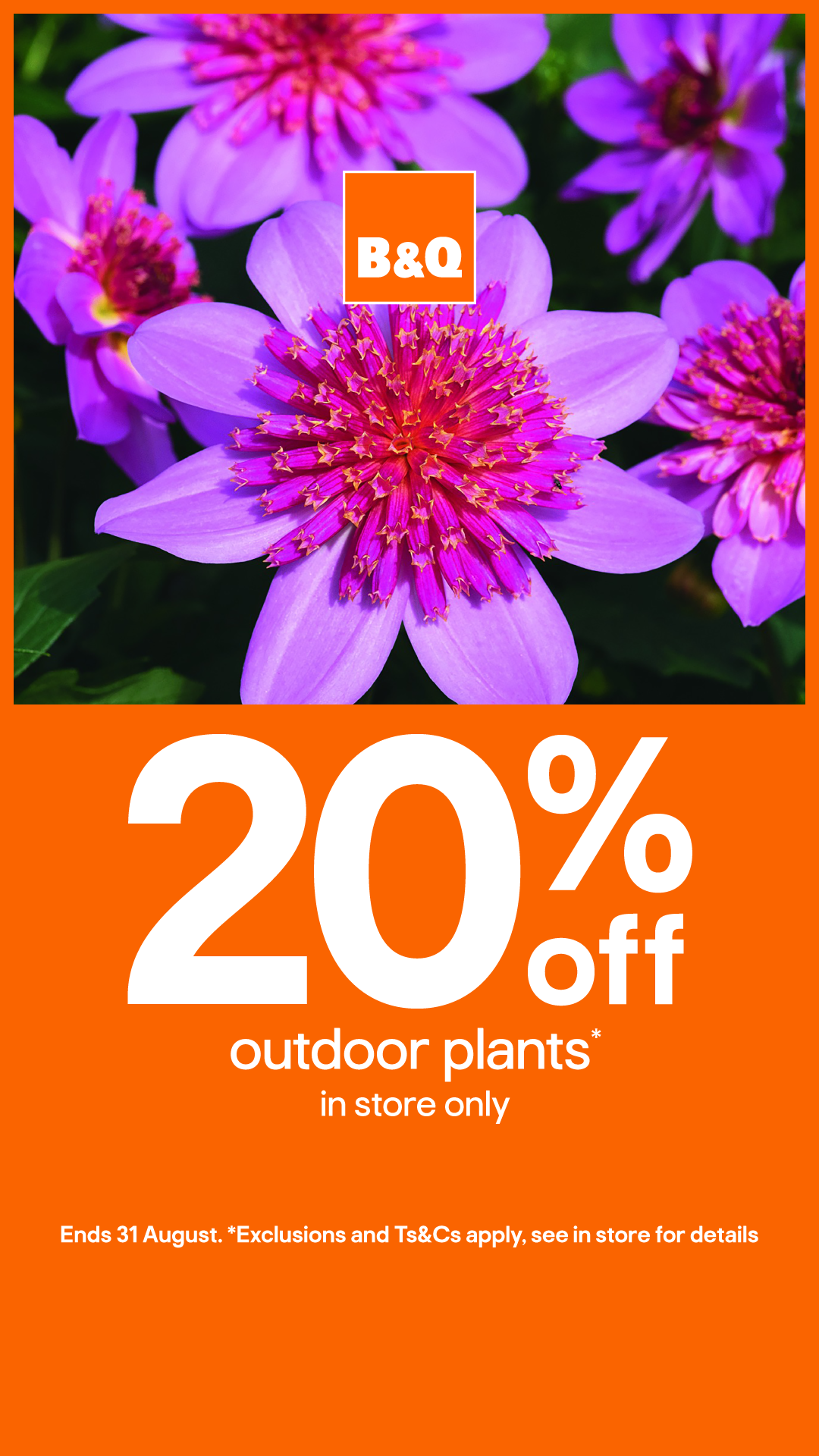 B&Q Facebook ad