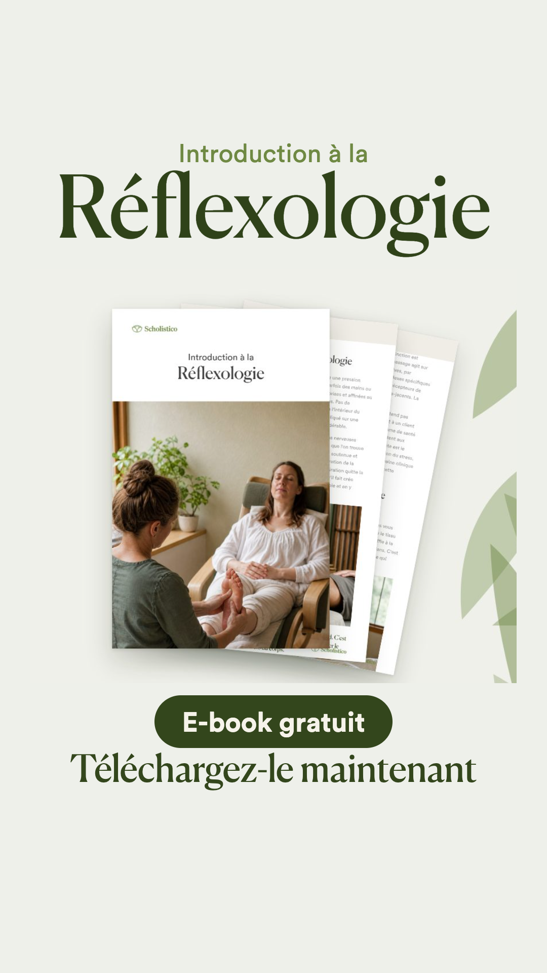 Scholistico en Français Facebook ad: [GRATUIT] Introduction à la réflexologie
