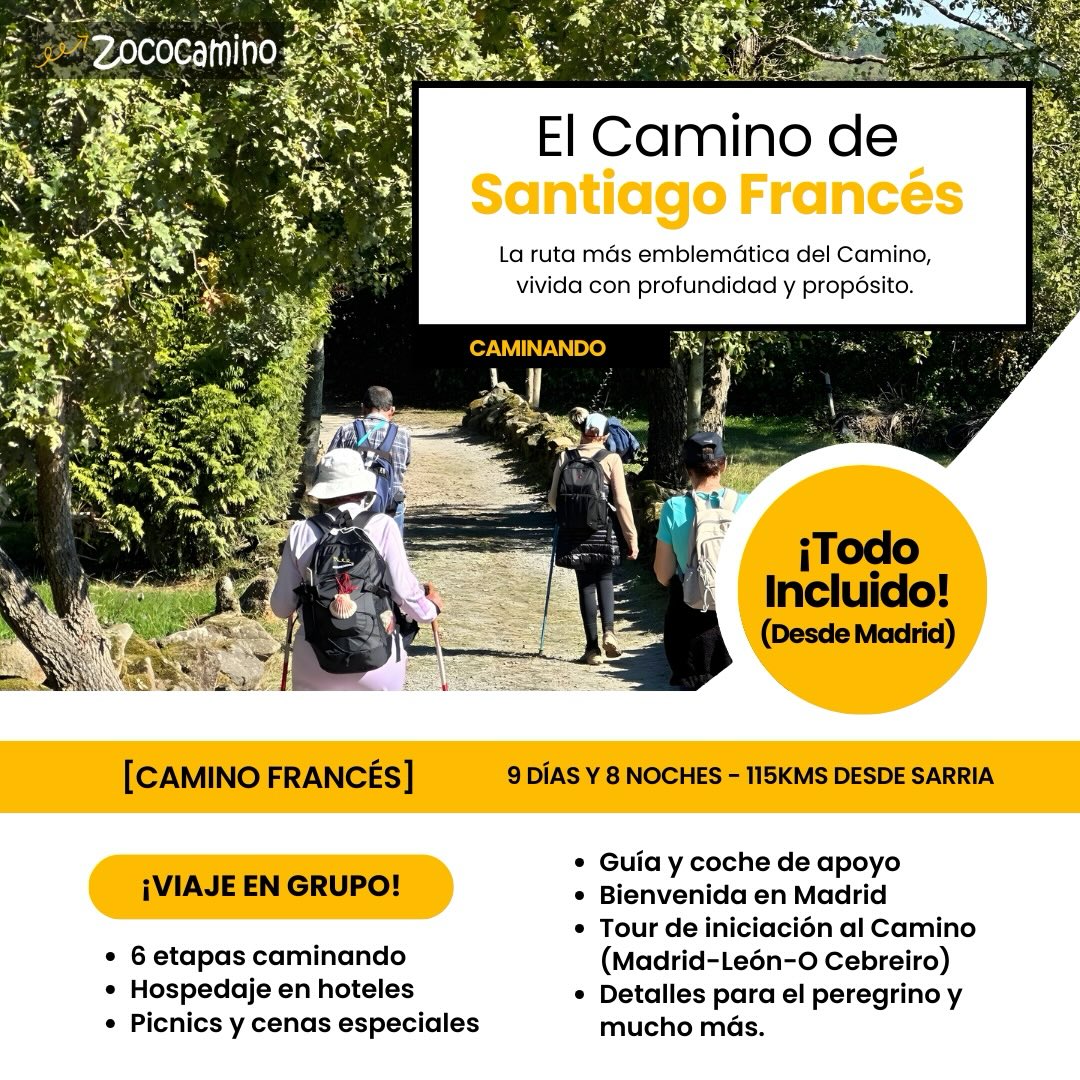 Zoco Camino Facebook ad
