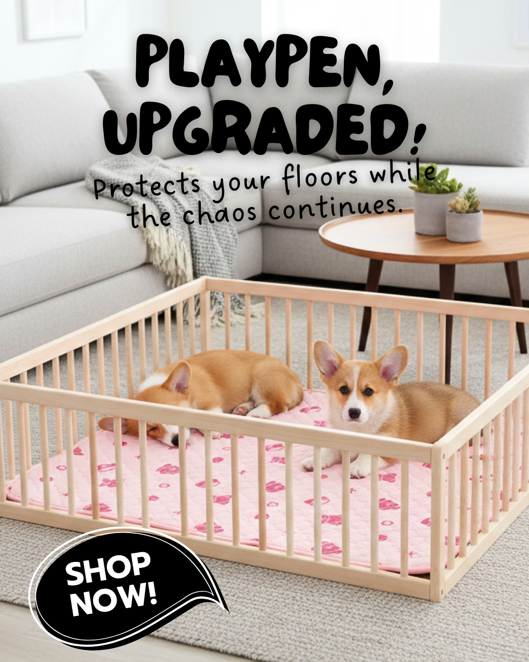 Potty Buddy Facebook ad