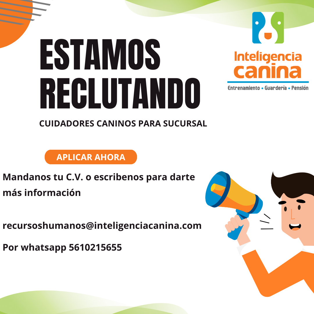 INTELIGENCIA CANINA Facebook ad: Chatea con nosotros