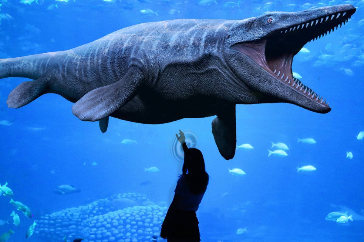 Secret Denver Facebook ad: Step Back Millions of Years: Denver's New Dinosaur…