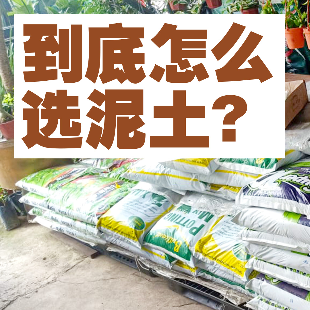Baba Gardening Facebook ad
