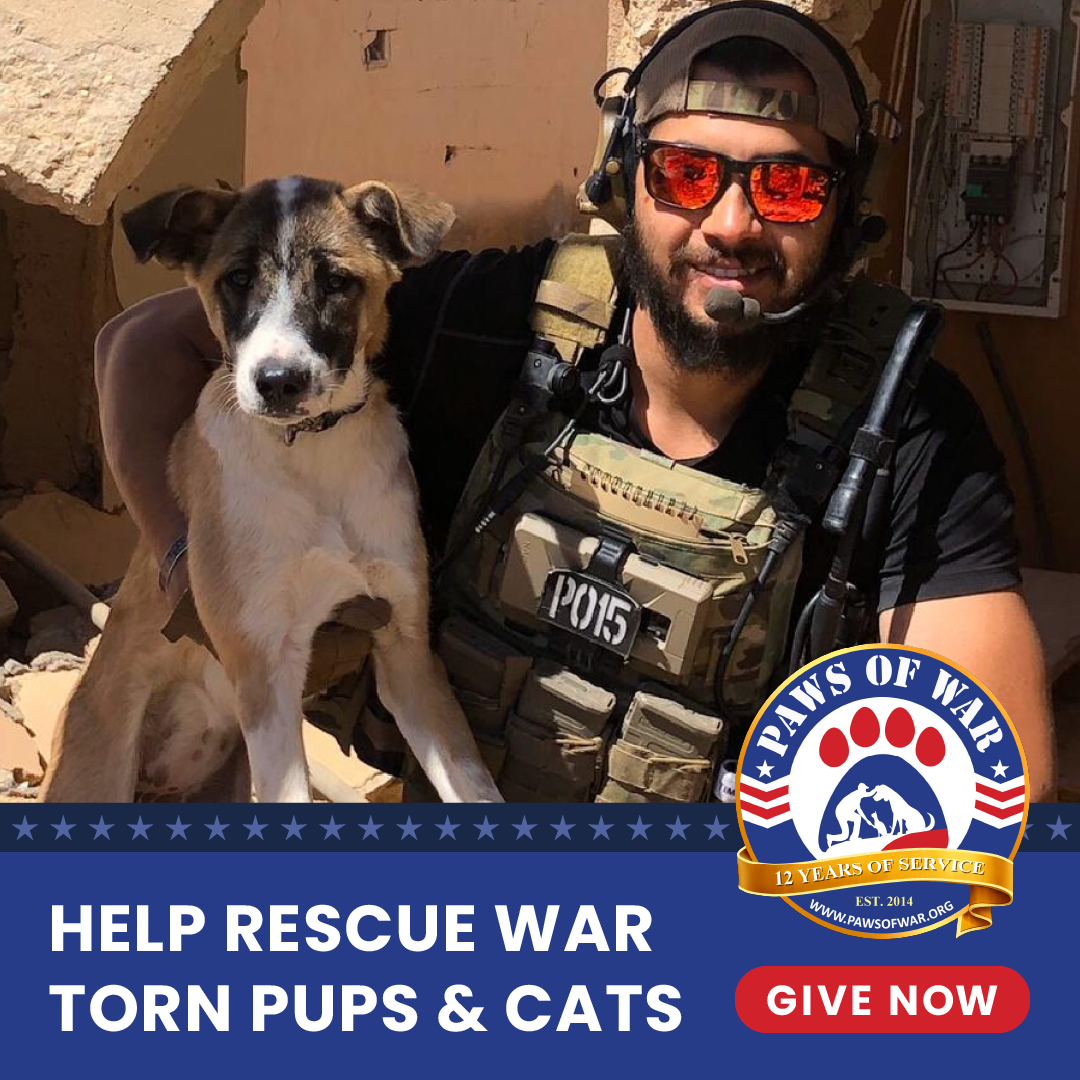 Paws of War Facebook ad