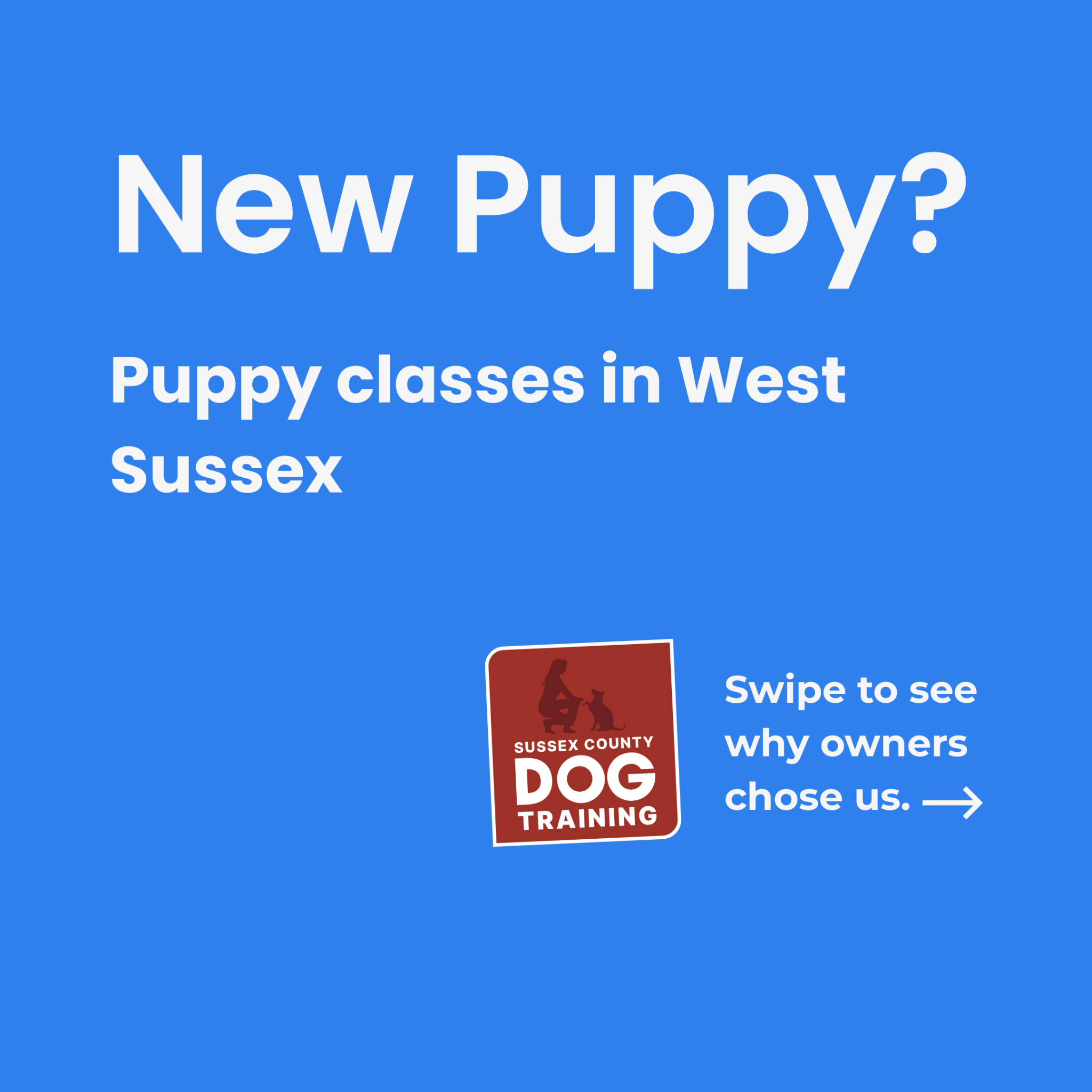Sussex County Dog Training Facebook ad: Start Your Puppy Off on the Right Paw!