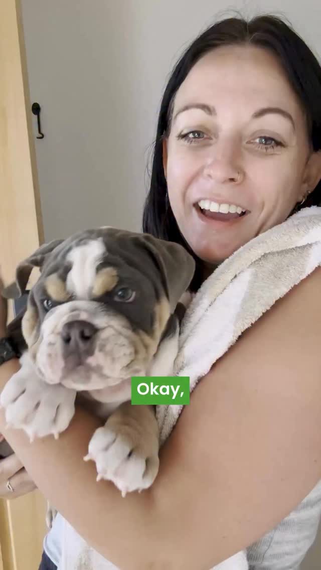 Pawlab Facebook ad: It’s finally puppy bath day!