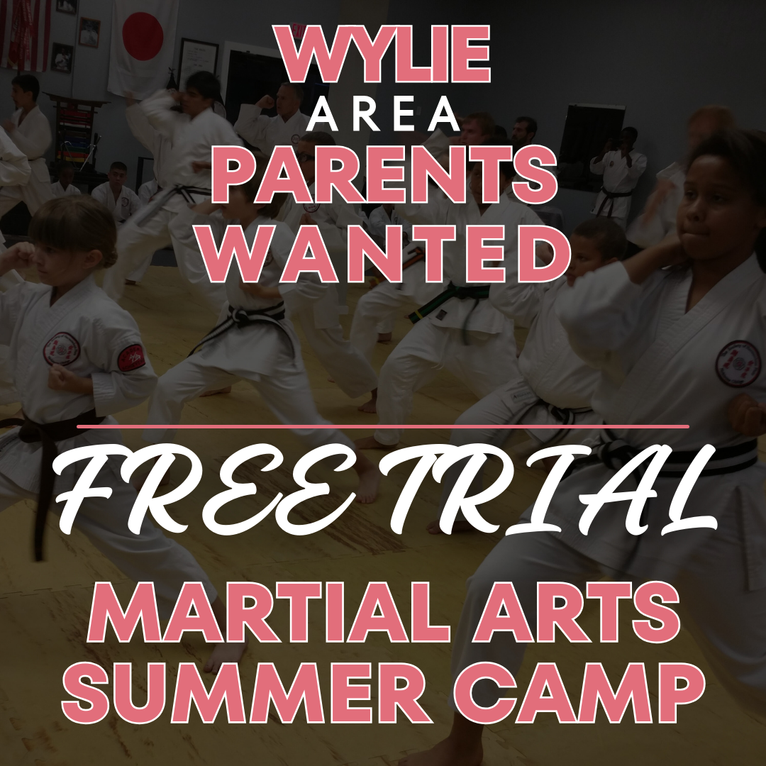 The Blazing Dragon Karate Dojo Facebook ad