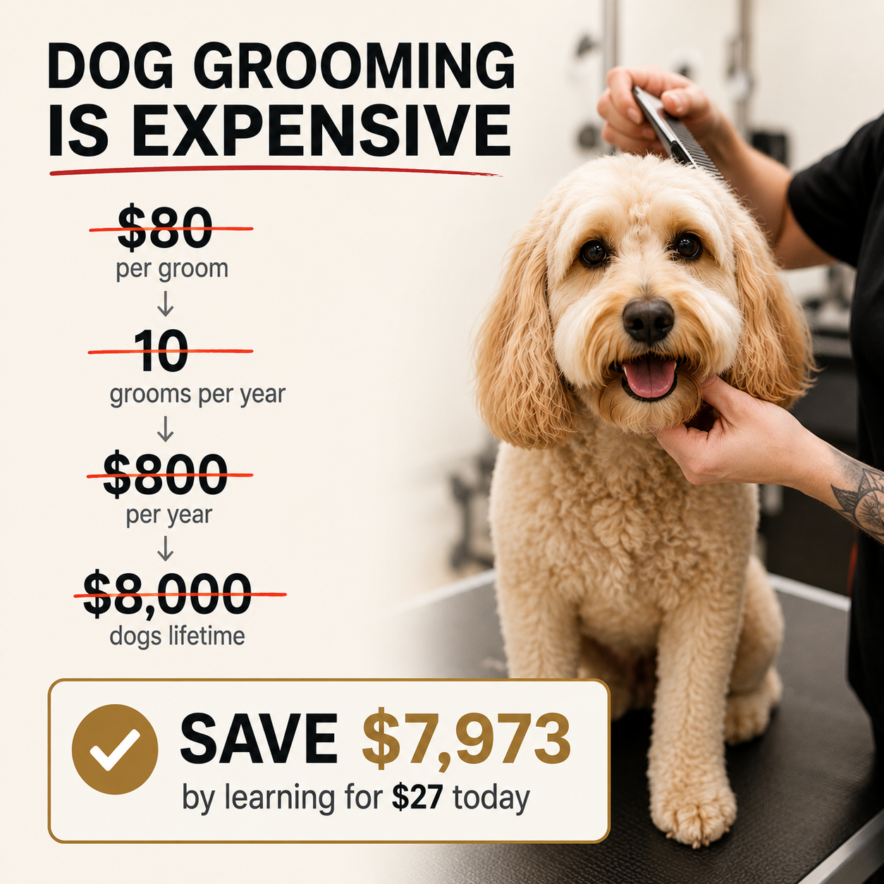 Shelley The Dog Groomer Facebook ad