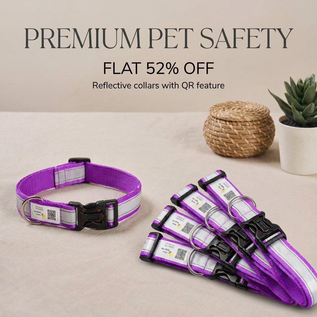 Pawsitivity Facebook ad