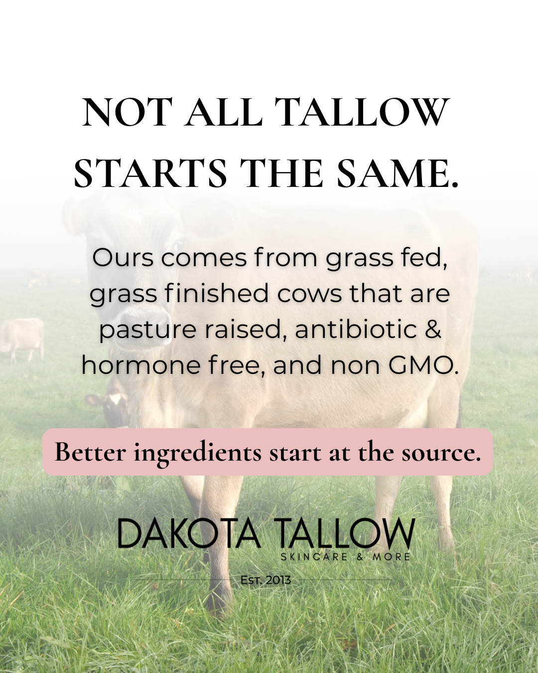 Dakota Tallow Skin Care & More Facebook ad: The Upper Midwest’s Original Tallow Brand.