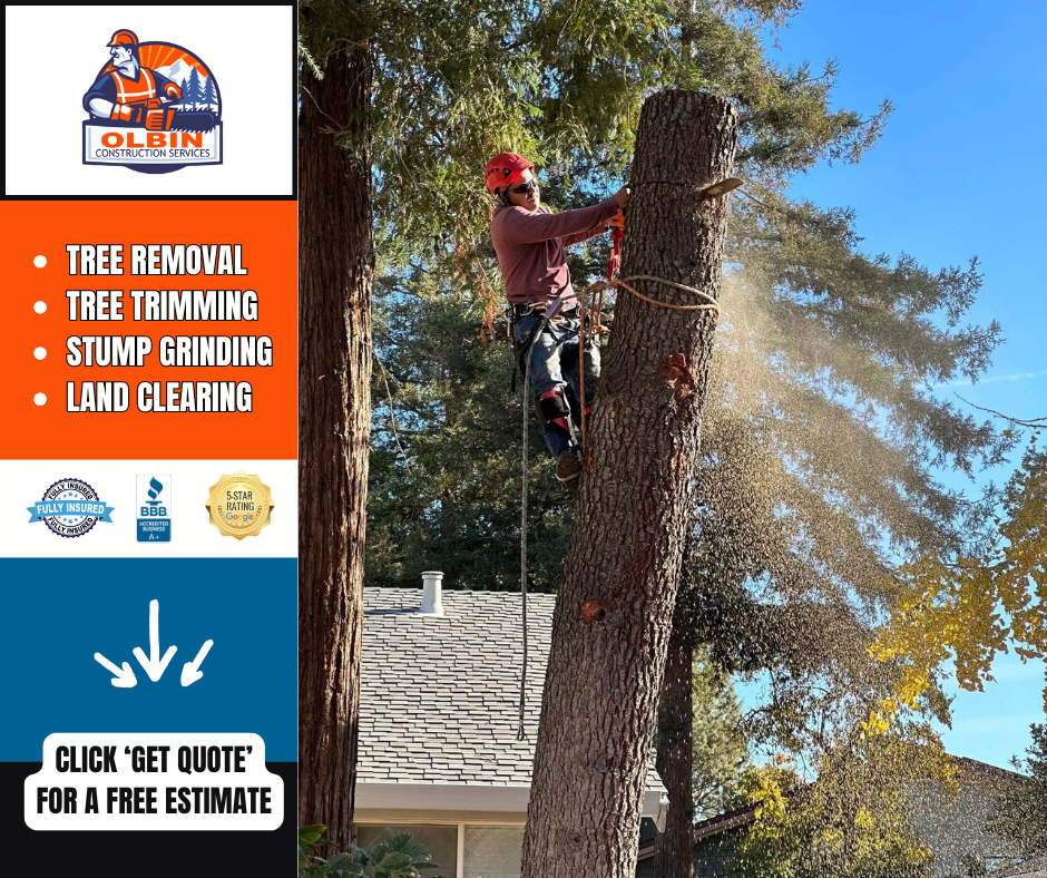 Olbin Tree Service Facebook ad