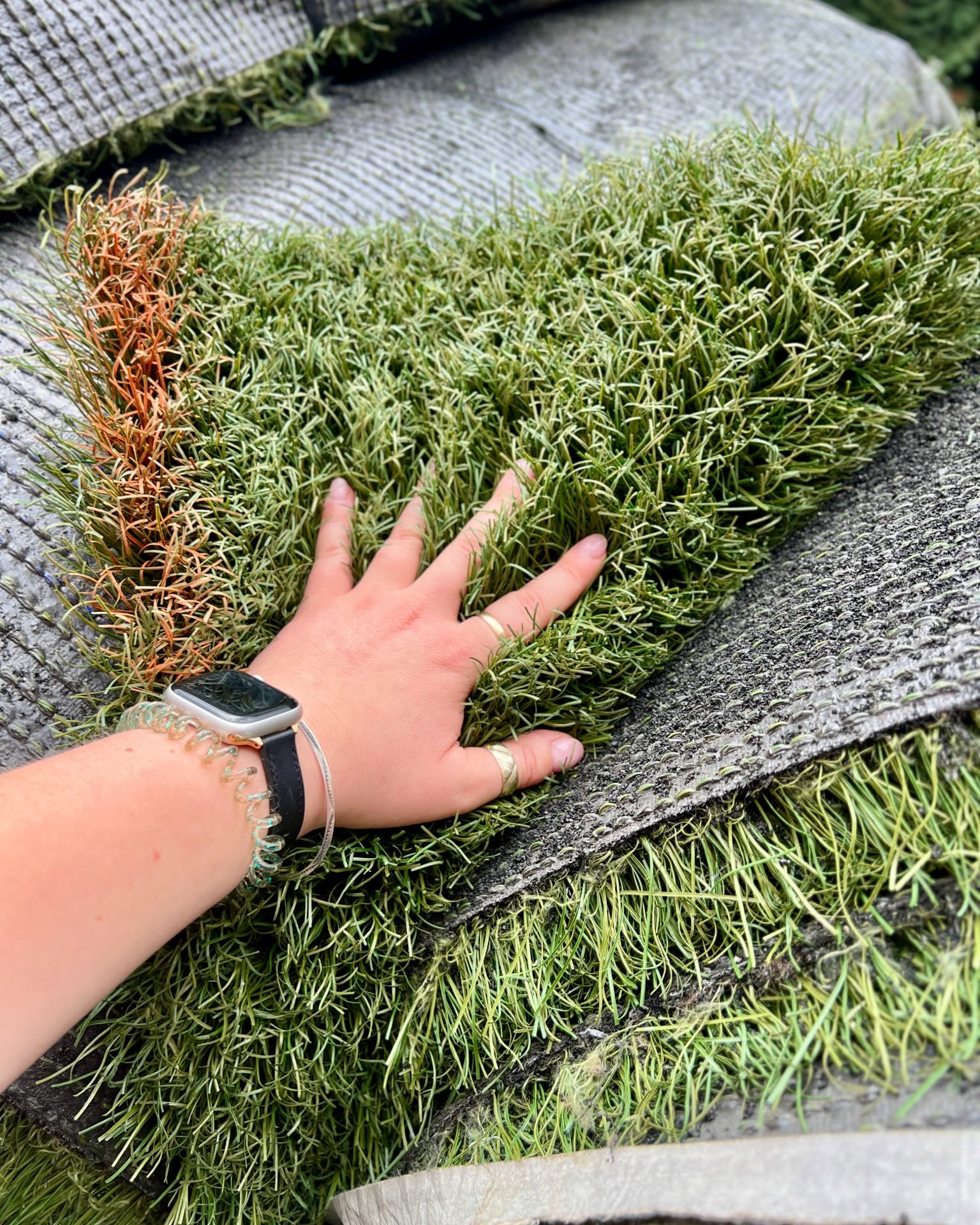 Sarah Miller Facebook ad: Turf! Water Free Grass, Super Durable! $99/roll!