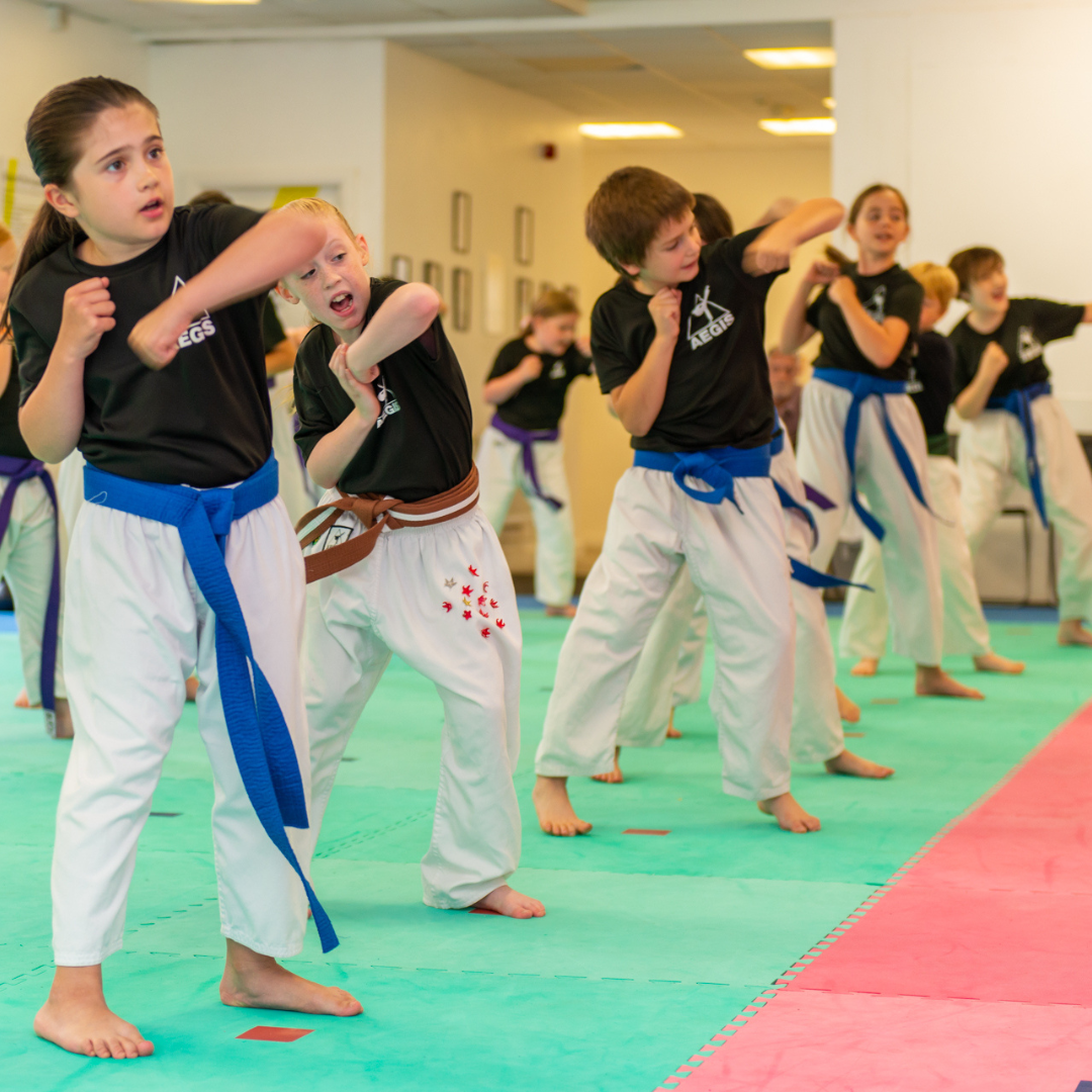 Leeds North AEGIS Martial Arts Academy Facebook ad