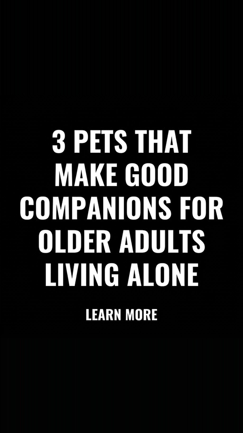 ModernReader Facebook ad: Pet Companions for Older Adults: 2026 Guide